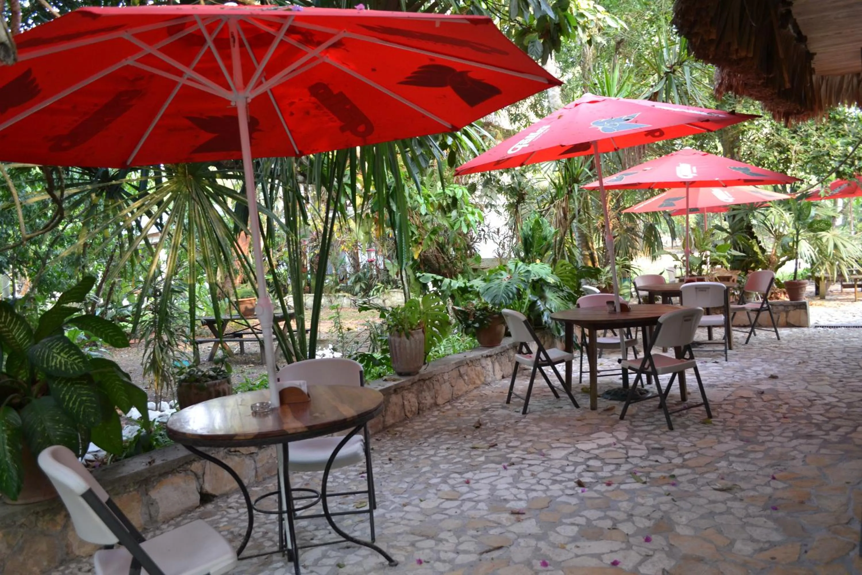Patio in Hotel Jaguar Inn Tikal