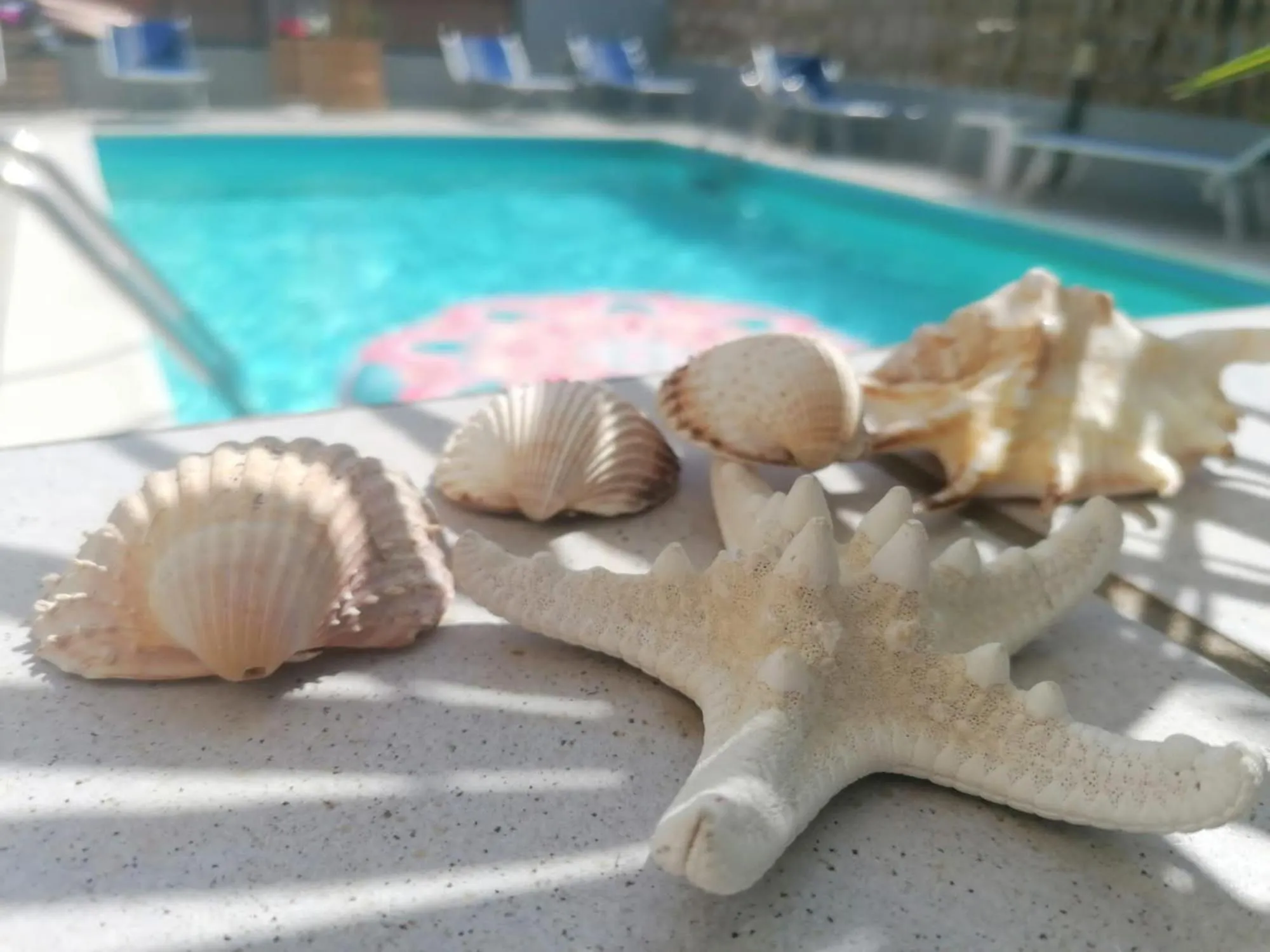 Day in Hotel A Casa Nostra