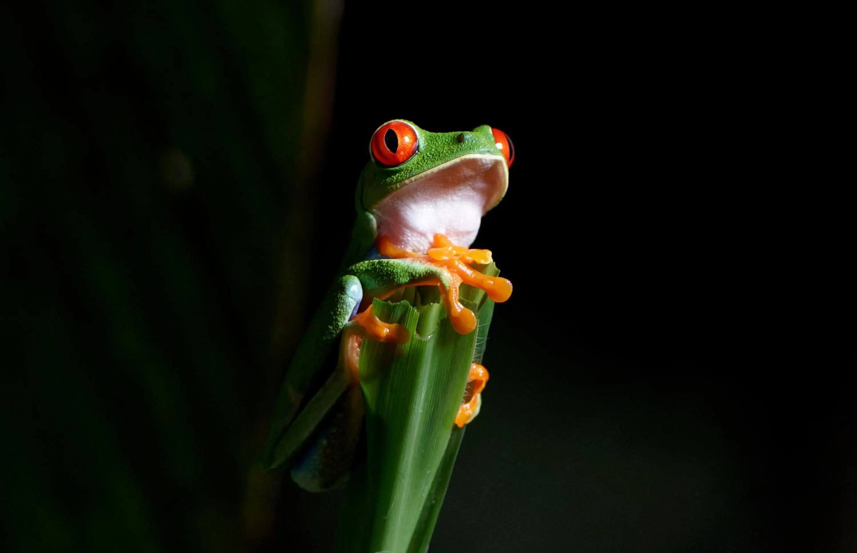 Activities in Maquenque Lodge