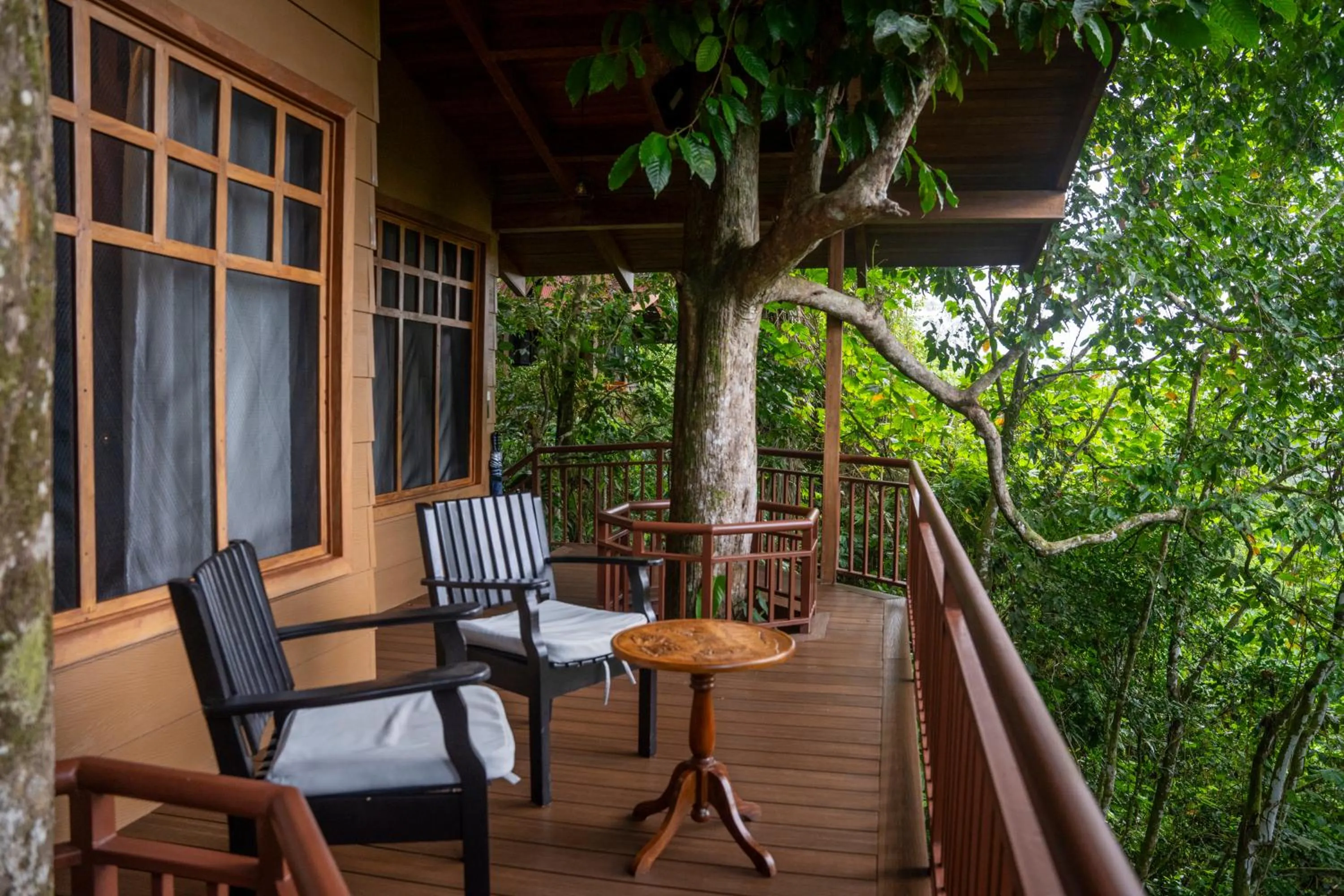Balcony/Terrace in Maquenque Lodge