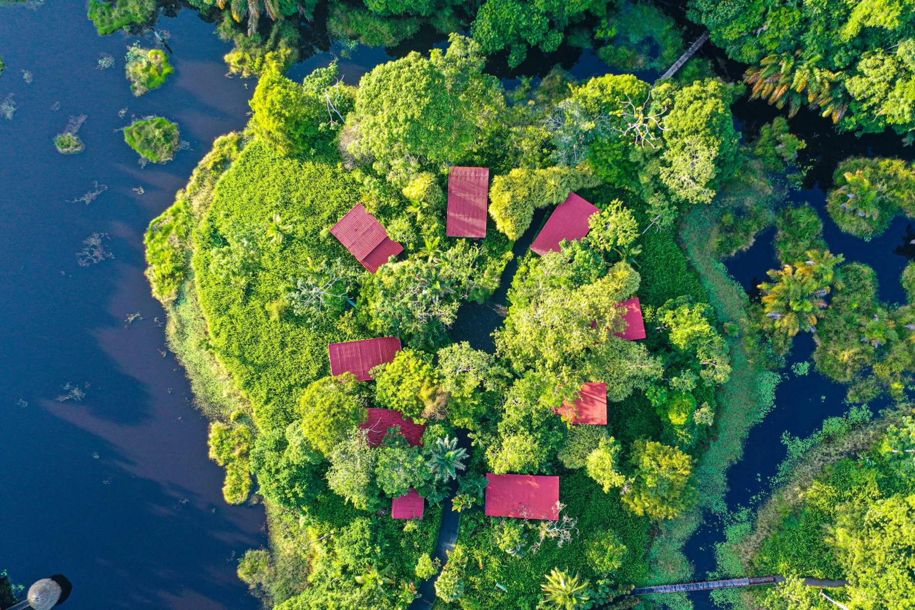 Property building in Maquenque Lodge