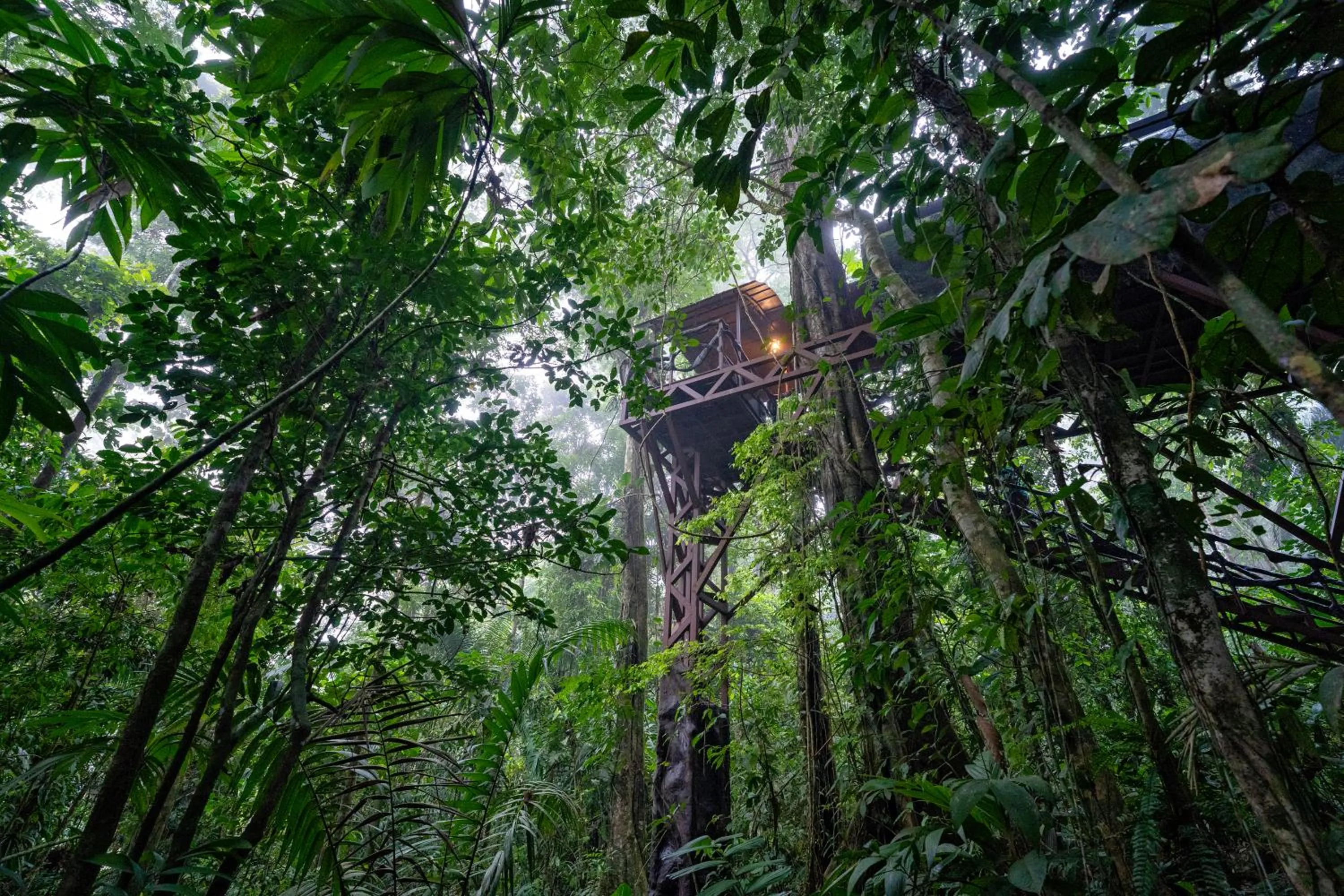 Communal lounge/ TV room in Maquenque Lodge