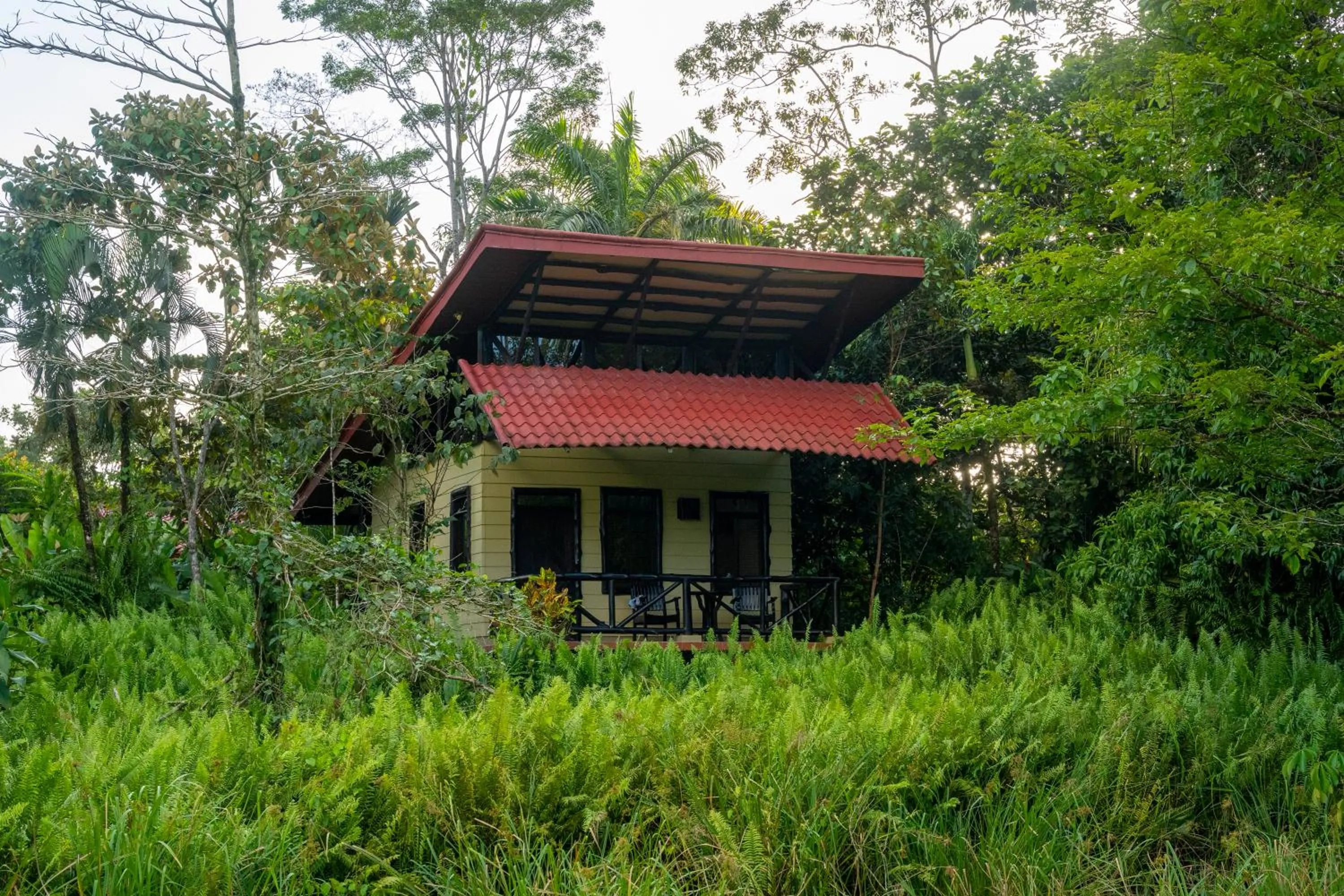 Natural landscape in Maquenque Lodge