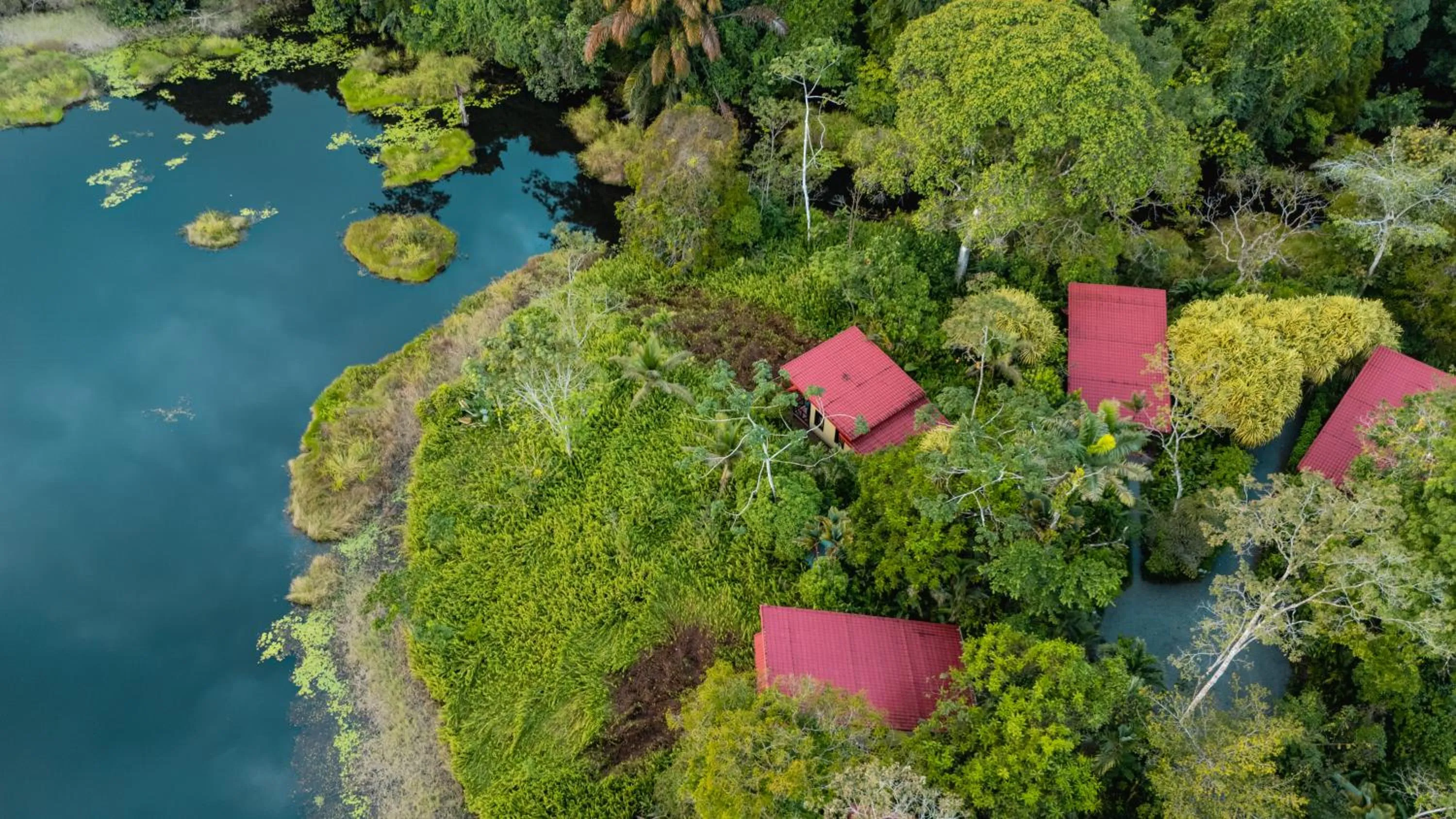 Bird's eye view in Maquenque Lodge