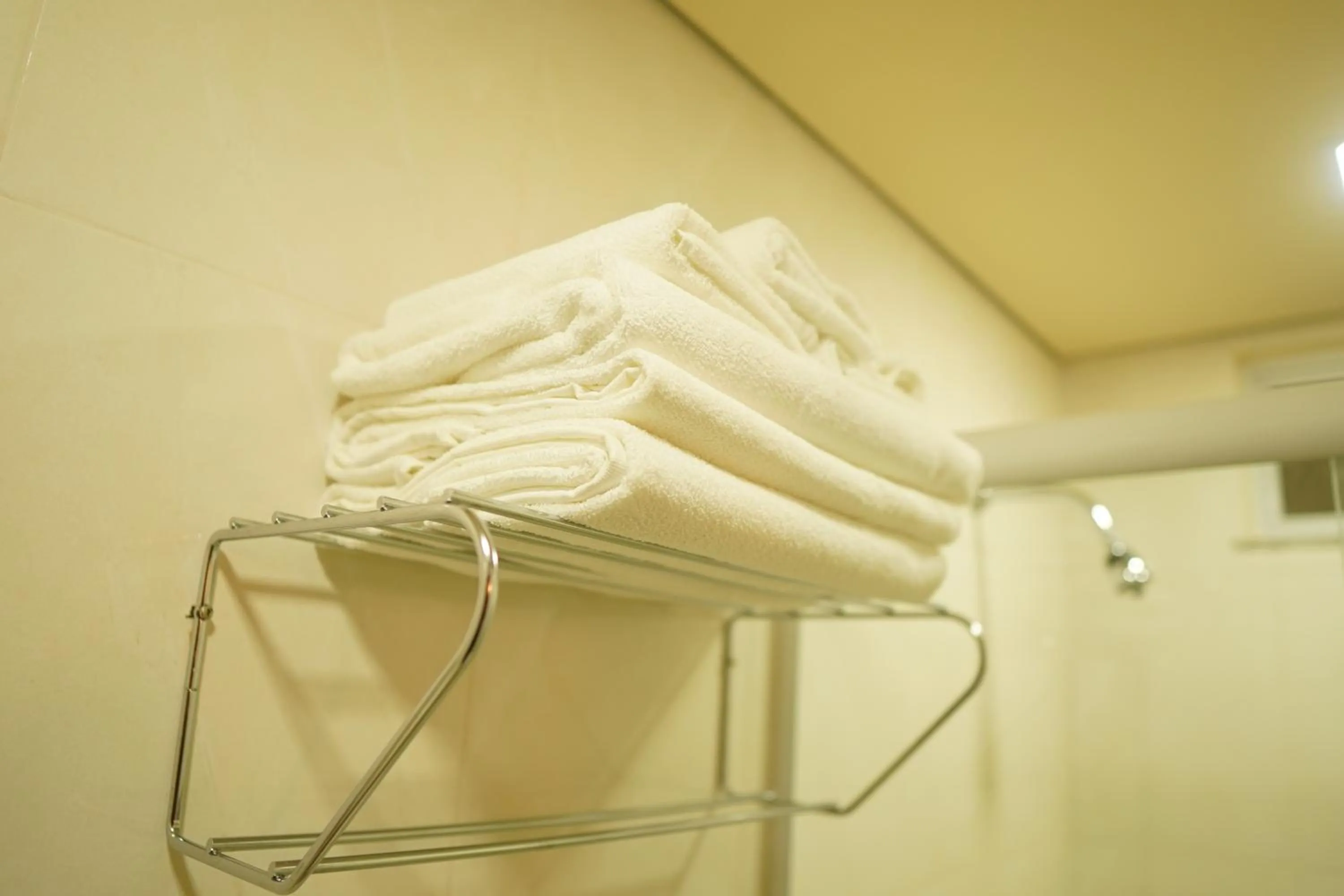 Bathroom in Forte Express