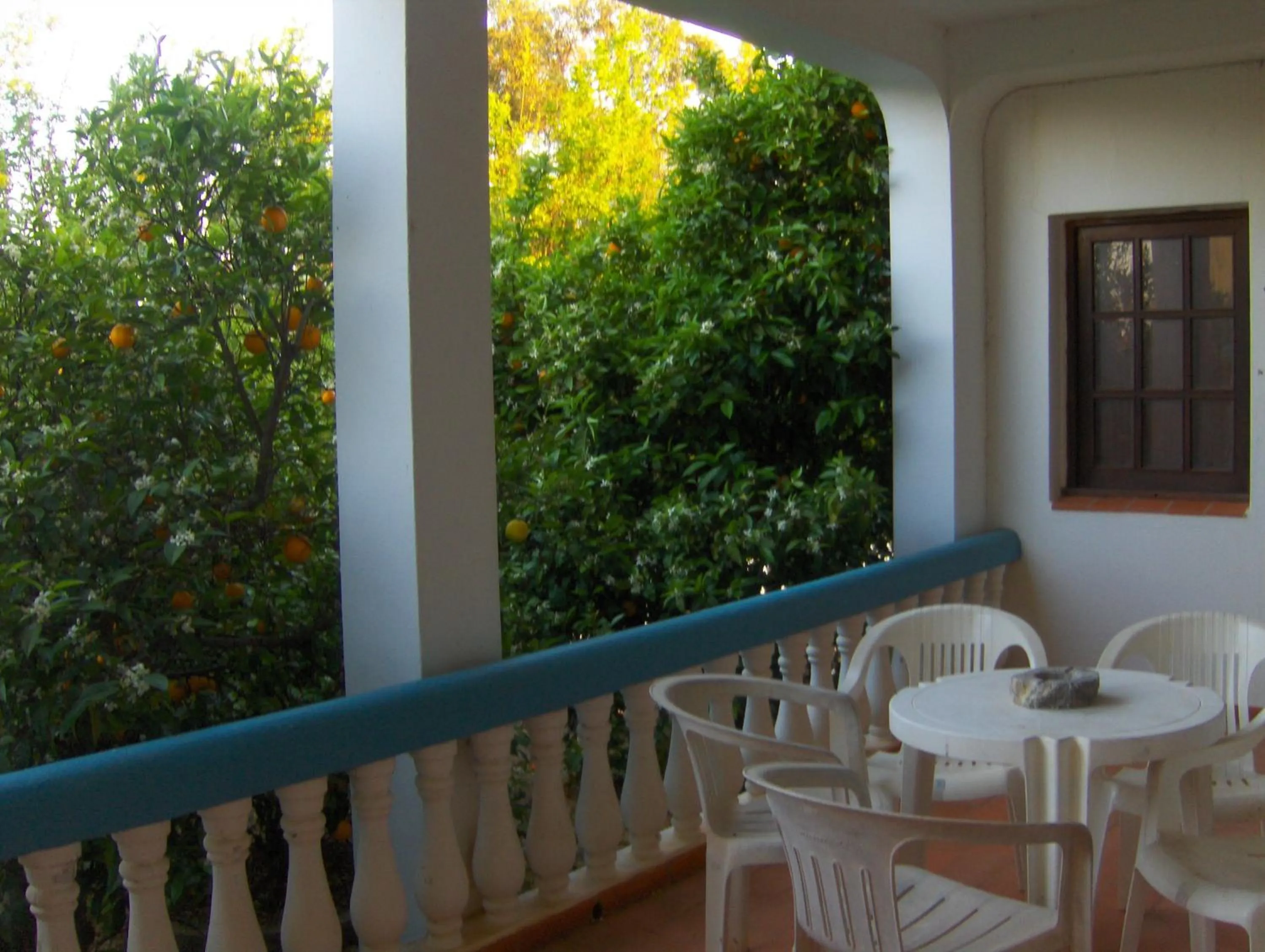 Balcony/Terrace in Vila Sodré Guest House