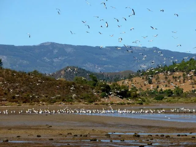 Natural landscape in Vila Sodré Guest House