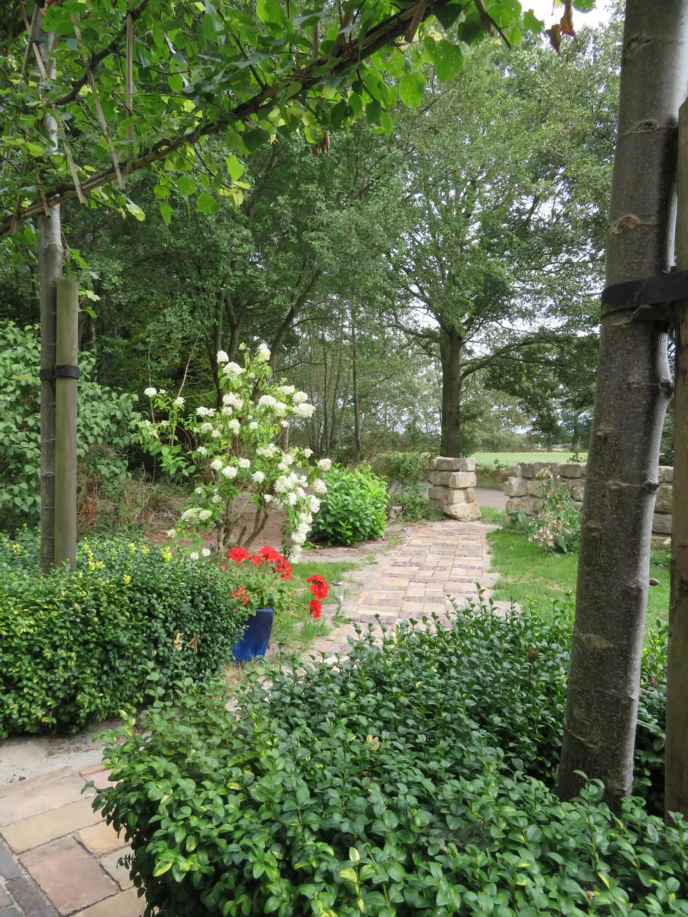 Garden in B&B Singelstate