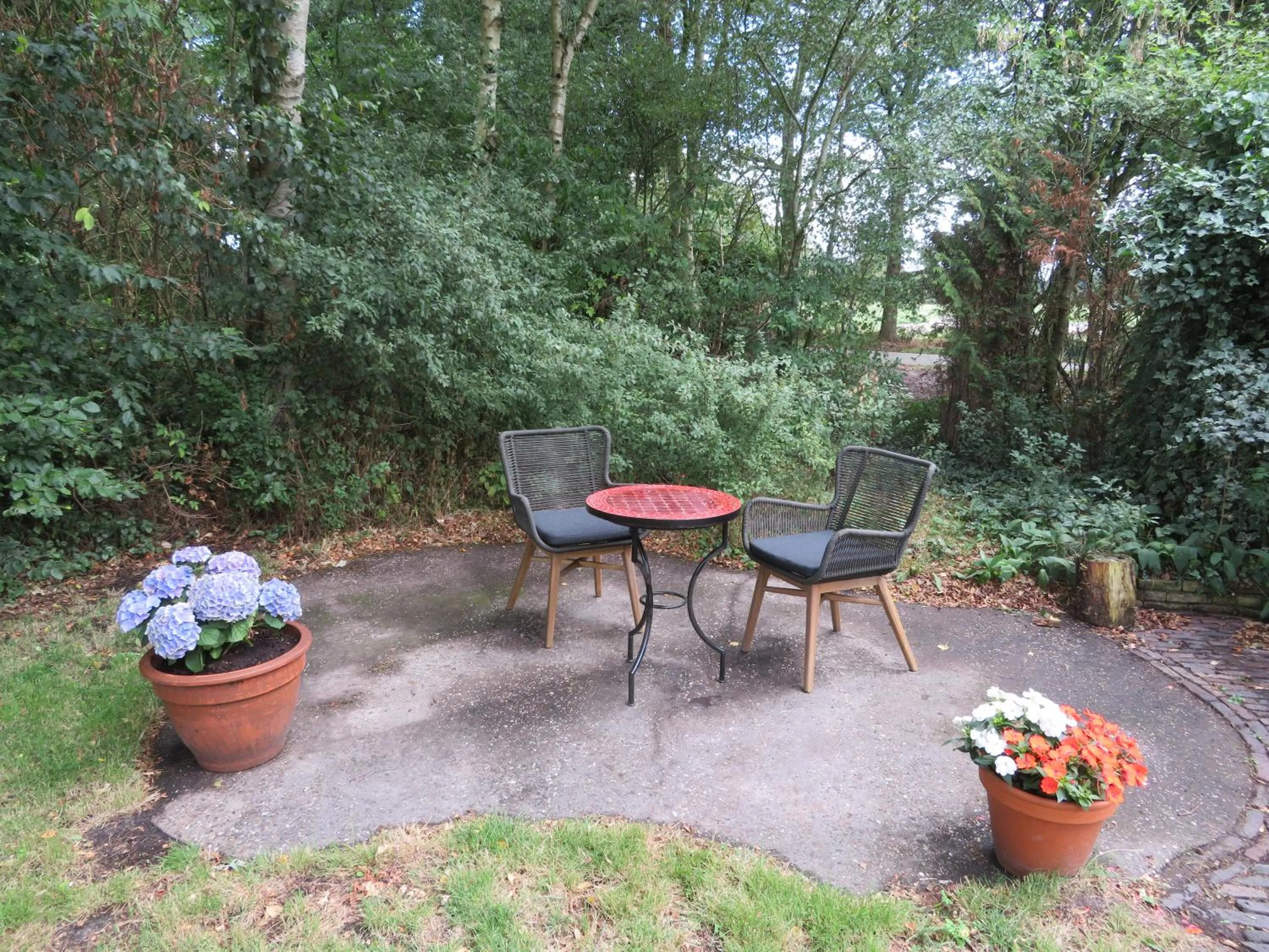 Garden in B&B Singelstate