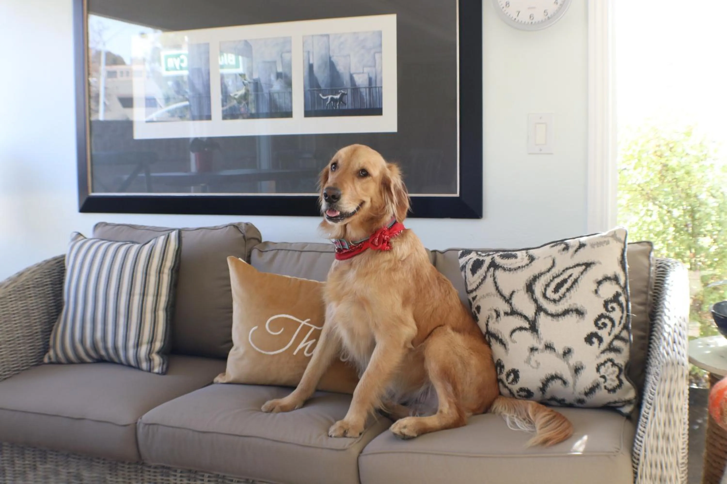 Staff in Seaside Laguna Inn & Suites