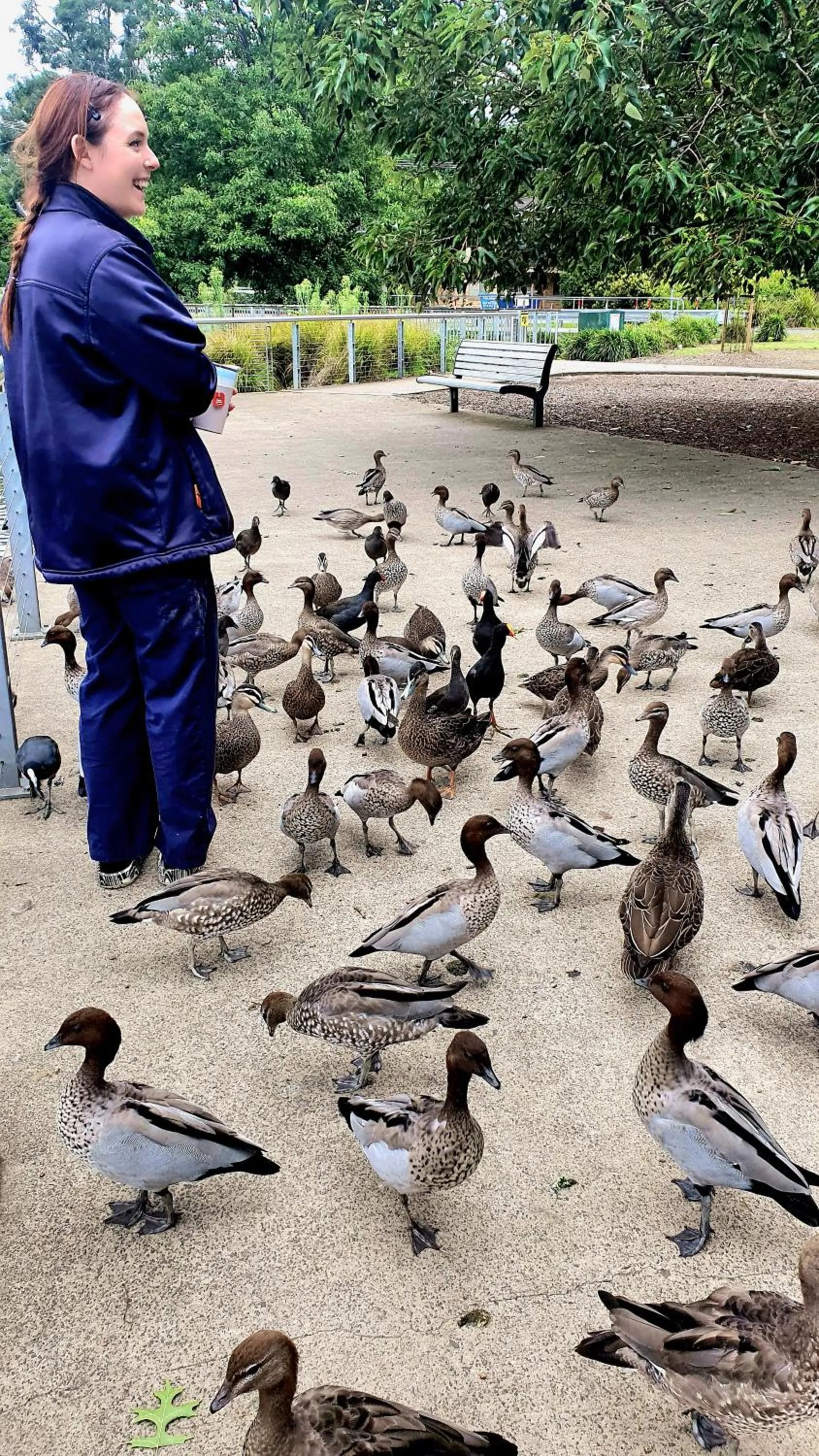 Off site in Bowral Road Art Gallery Bed and Breakfast