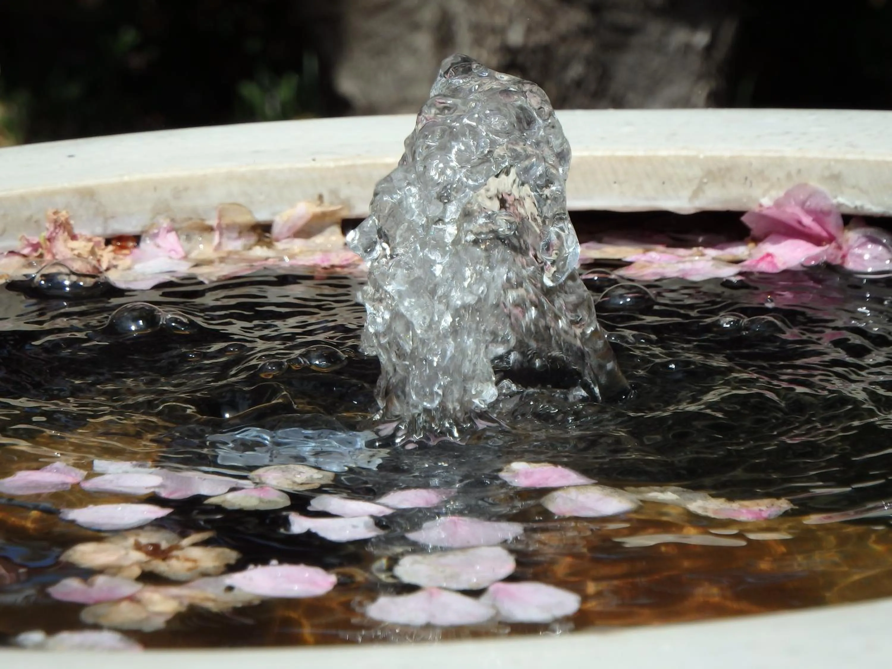 Natural landscape in Bowral Road Art Gallery Bed and Breakfast