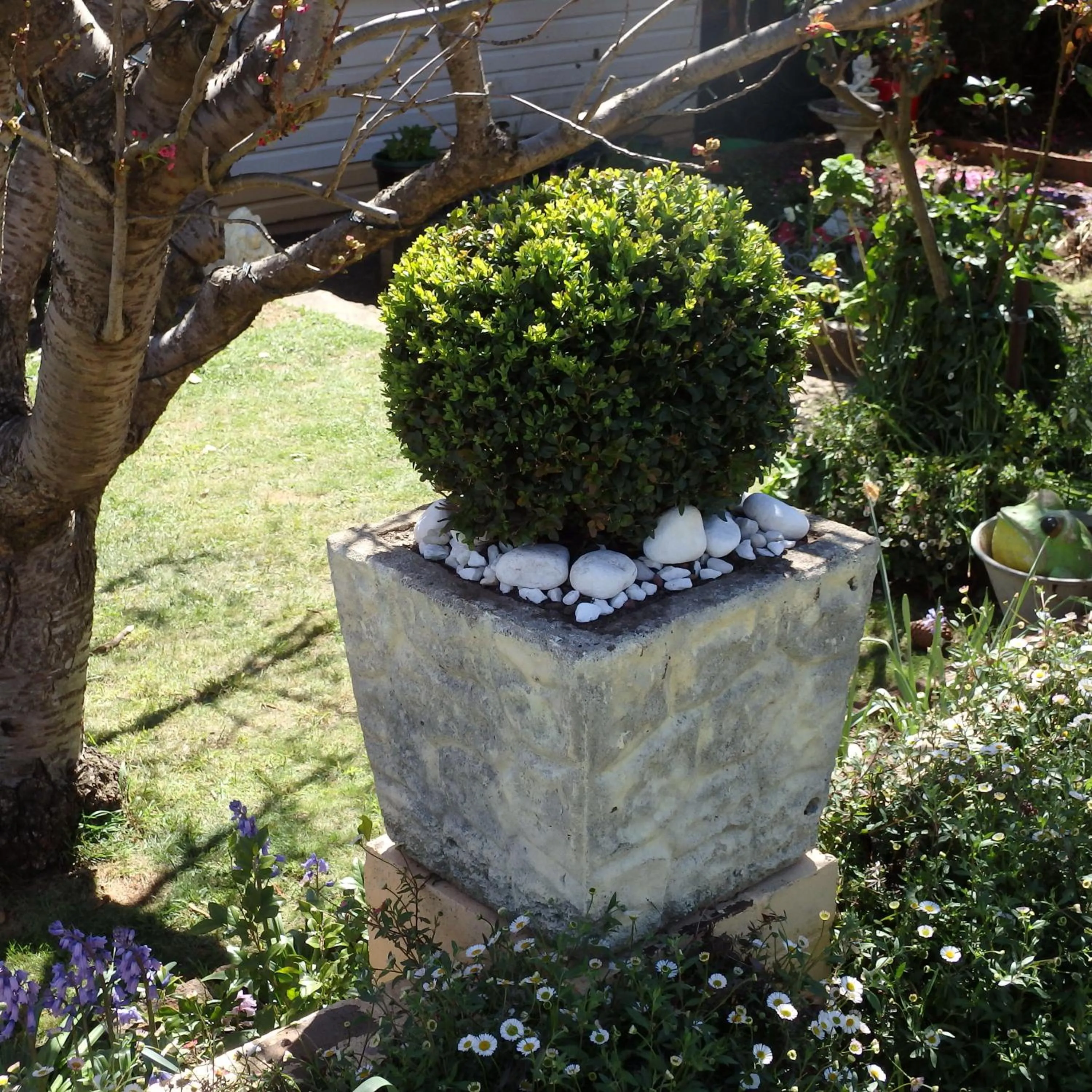 Garden in Bowral Road Art Gallery Bed and Breakfast