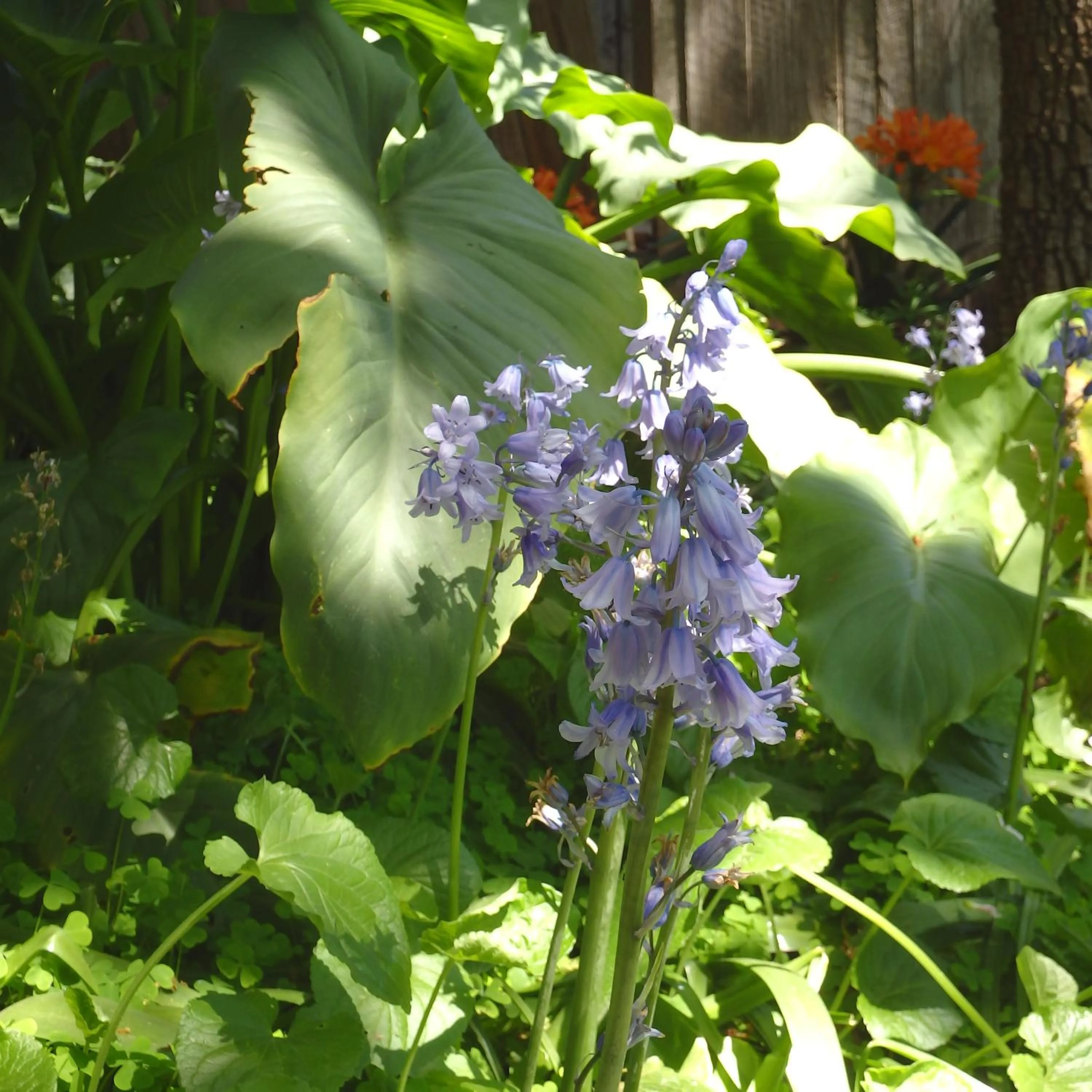 Bowral Road Art Gallery Bed and Breakfast