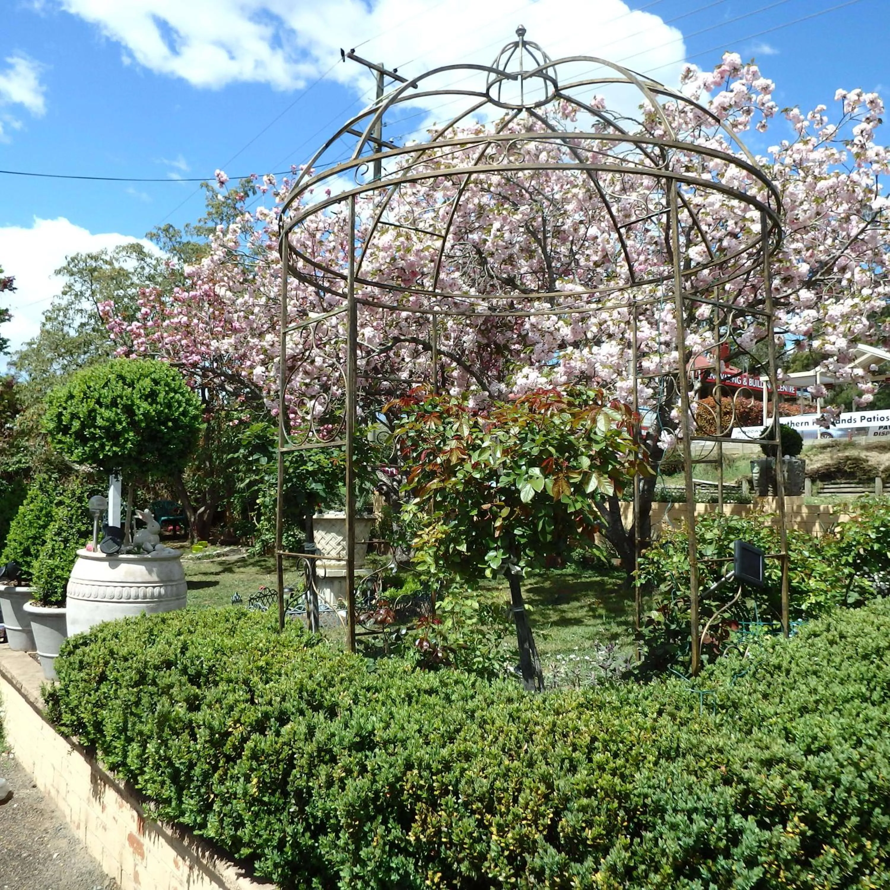 Garden in Bowral Road Art Gallery Bed and Breakfast