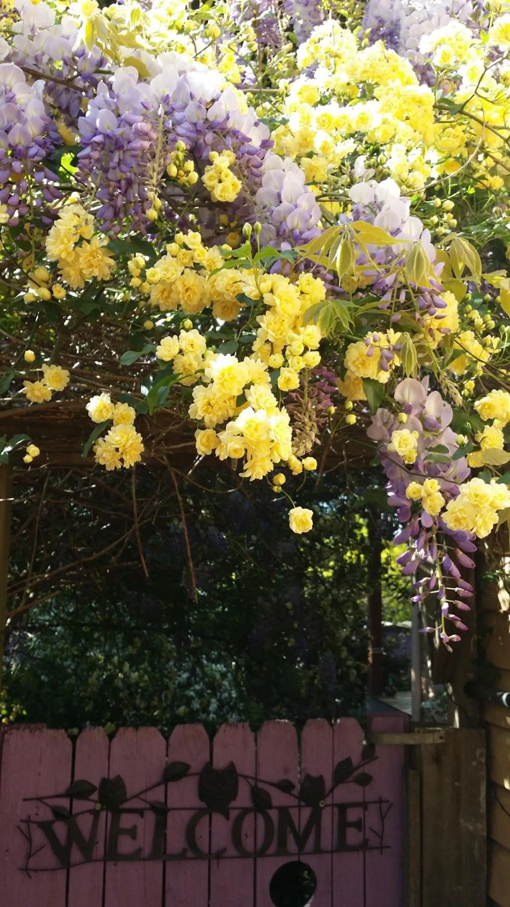 Property building in Bowral Road Art Gallery Bed and Breakfast