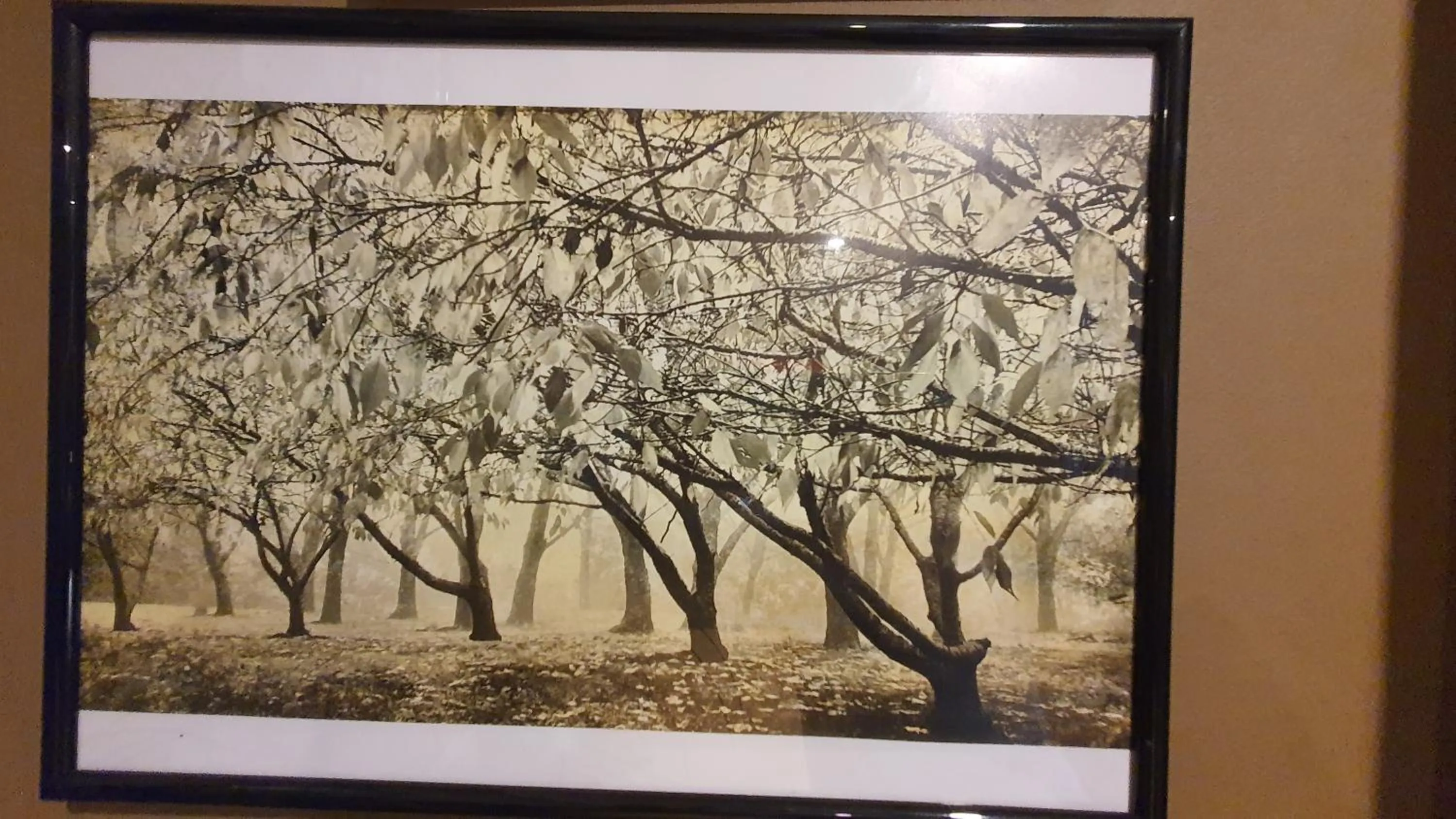 Bowral Road Art Gallery Bed and Breakfast