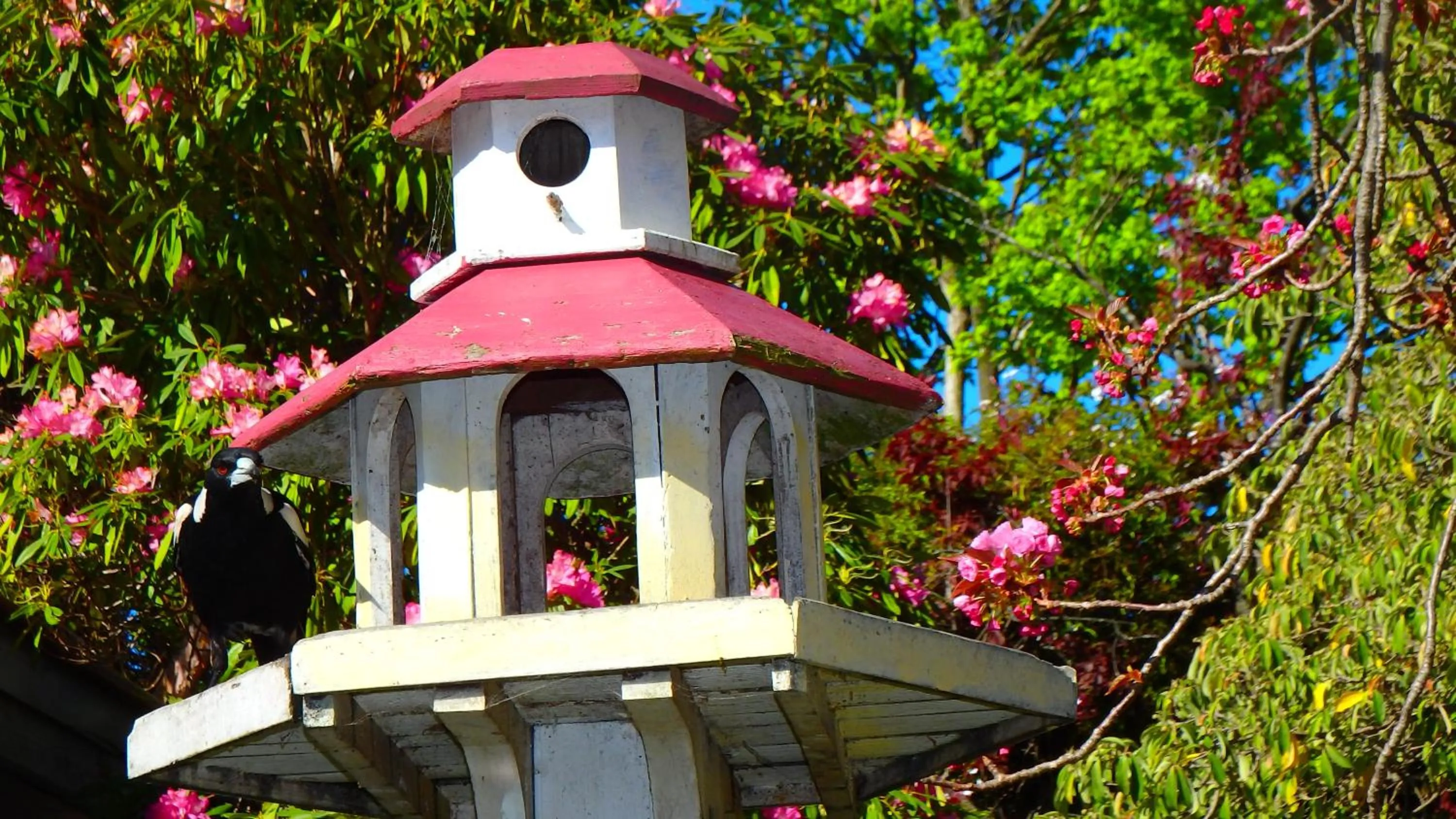 Garden in Bowral Road Art Gallery Bed and Breakfast