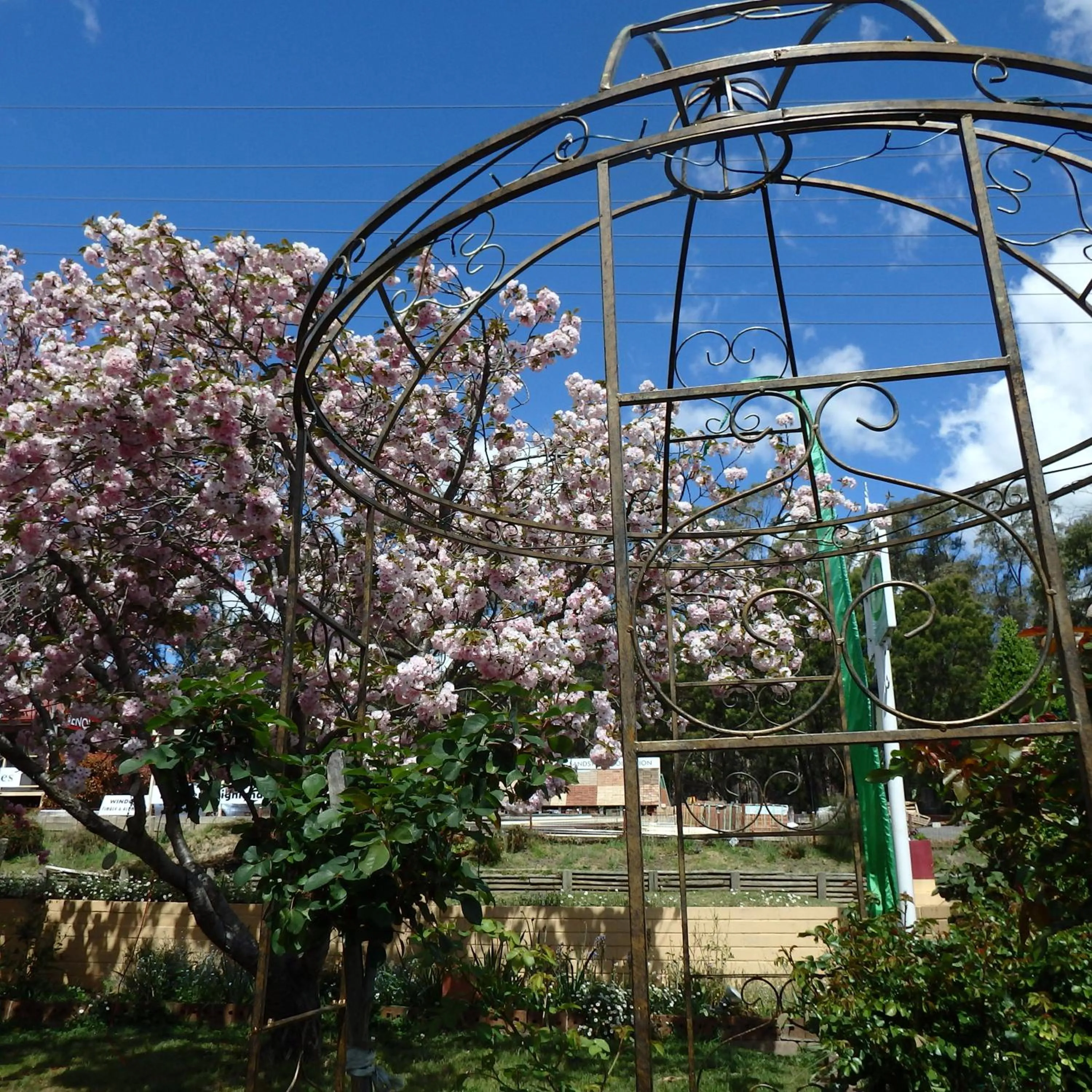 Garden in Bowral Road Art Gallery Bed and Breakfast
