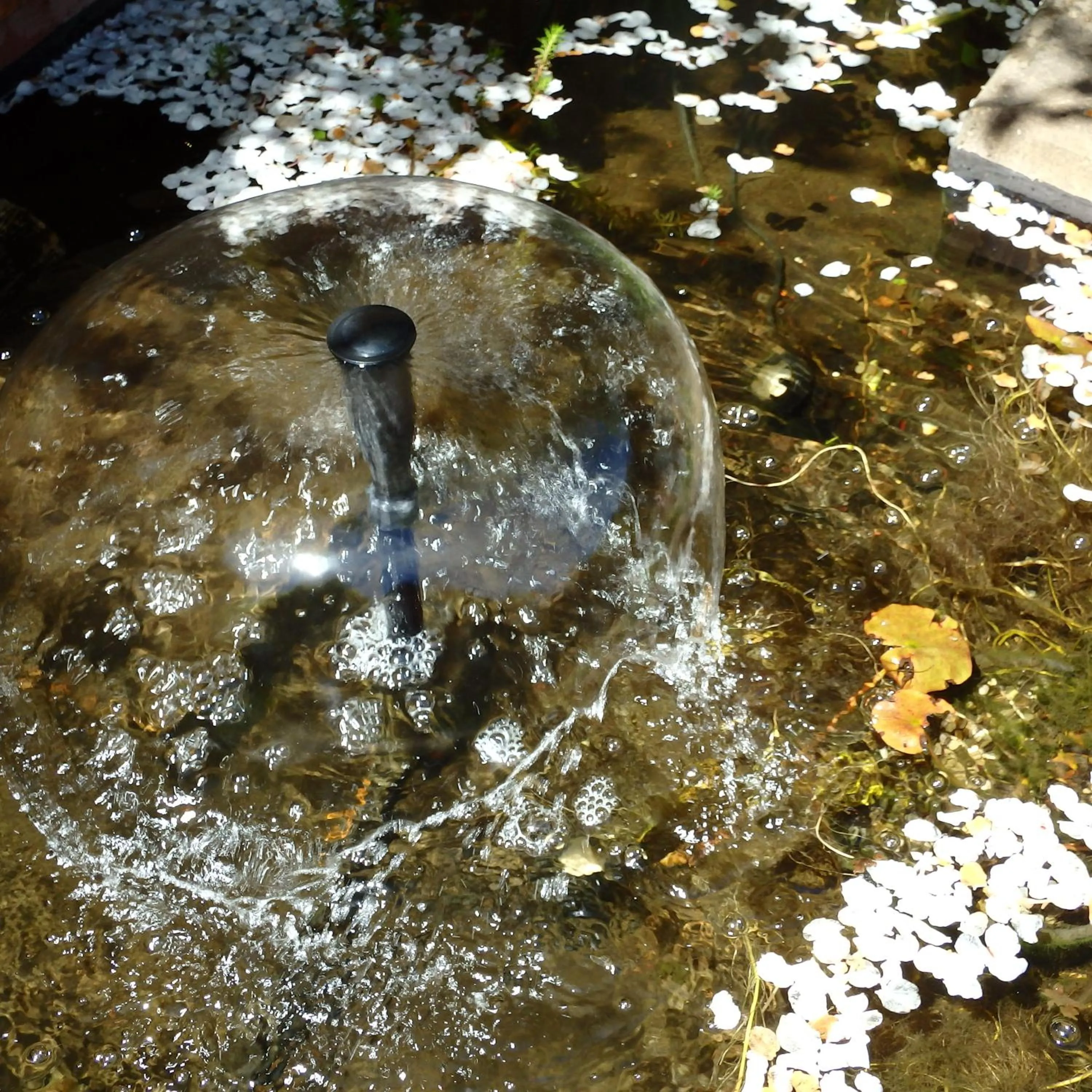 Garden in Bowral Road Art Gallery Bed and Breakfast
