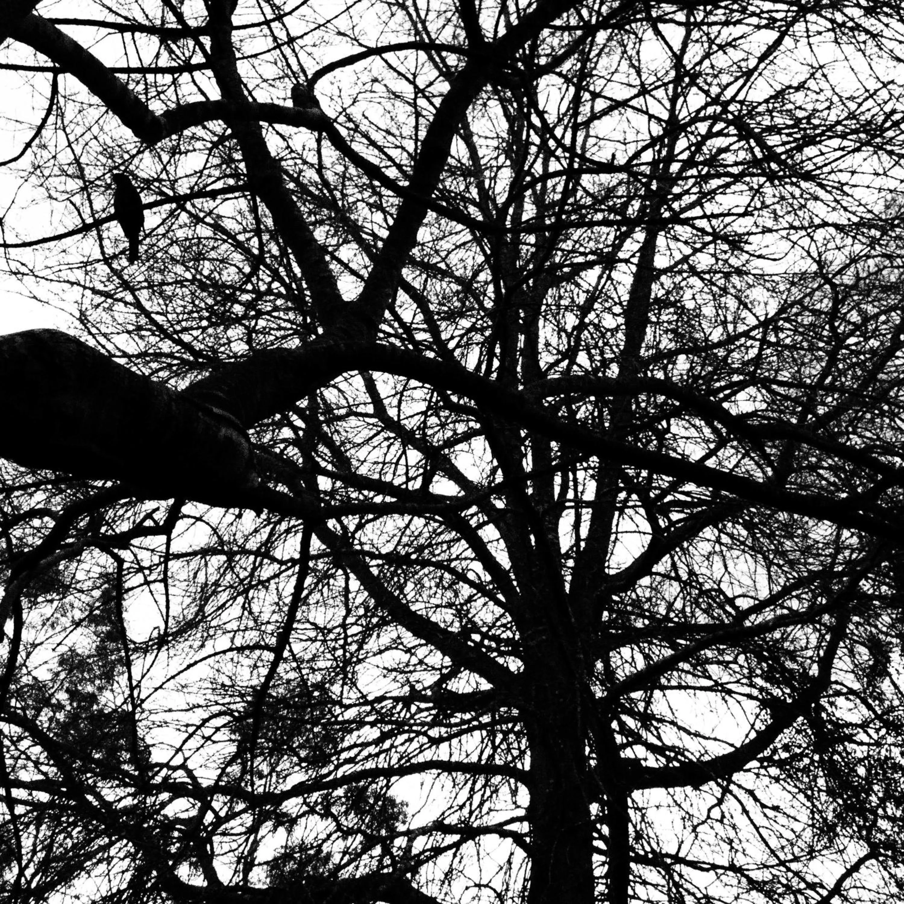 Garden in Bowral Road Art Gallery Bed and Breakfast