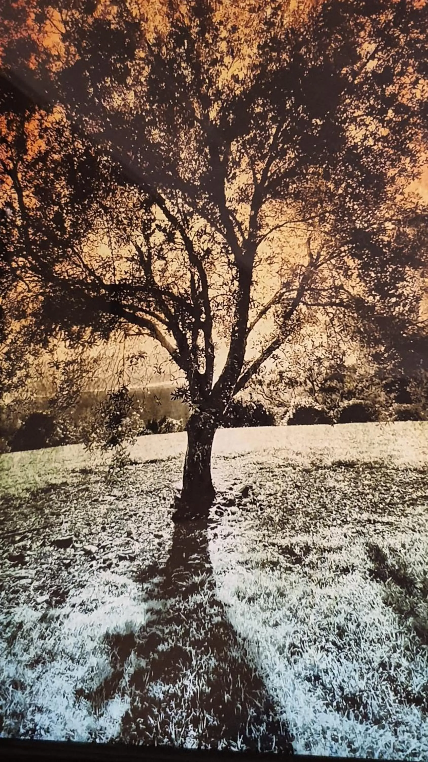 Property building in Bowral Road Art Gallery Bed and Breakfast