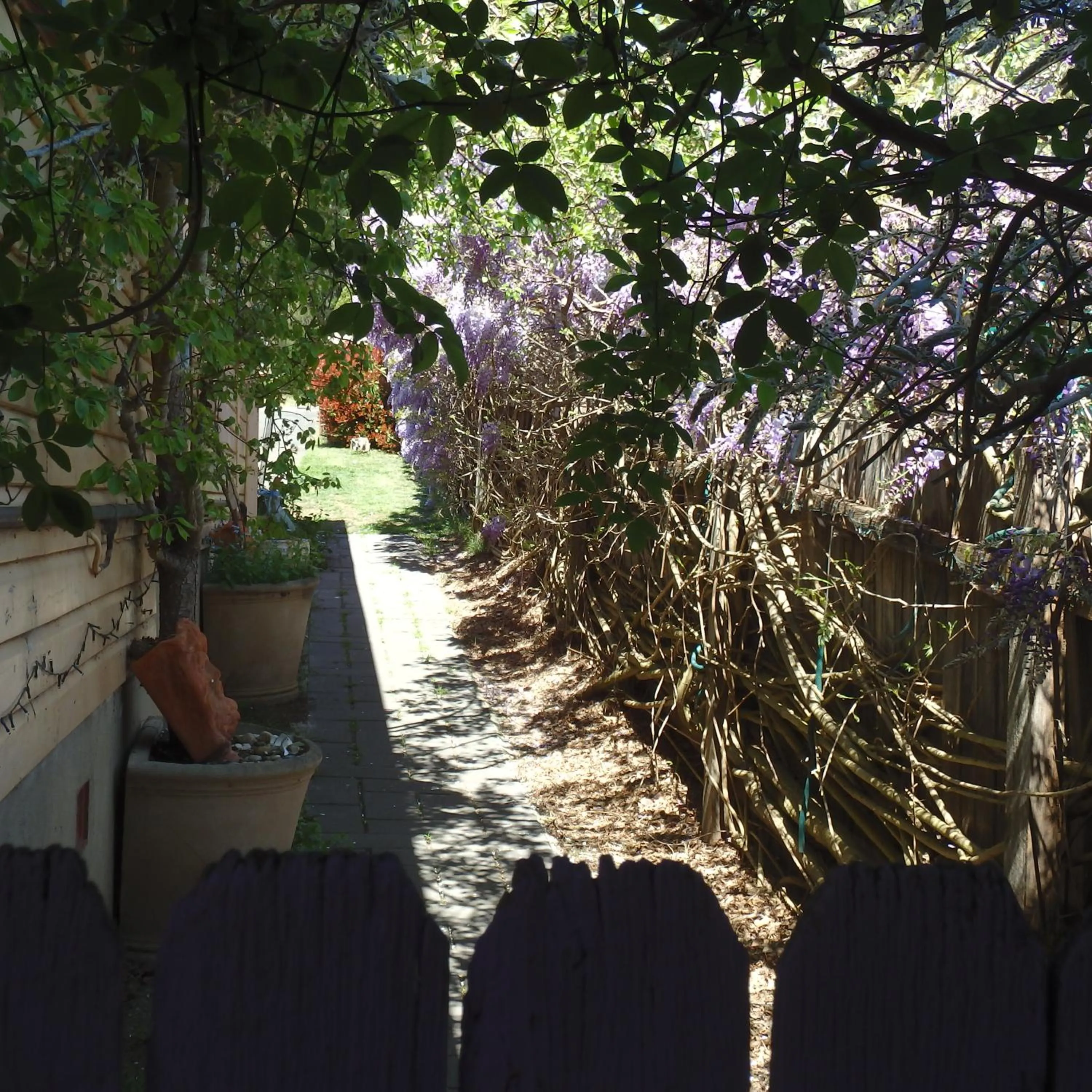 Bowral Road Art Gallery Bed and Breakfast