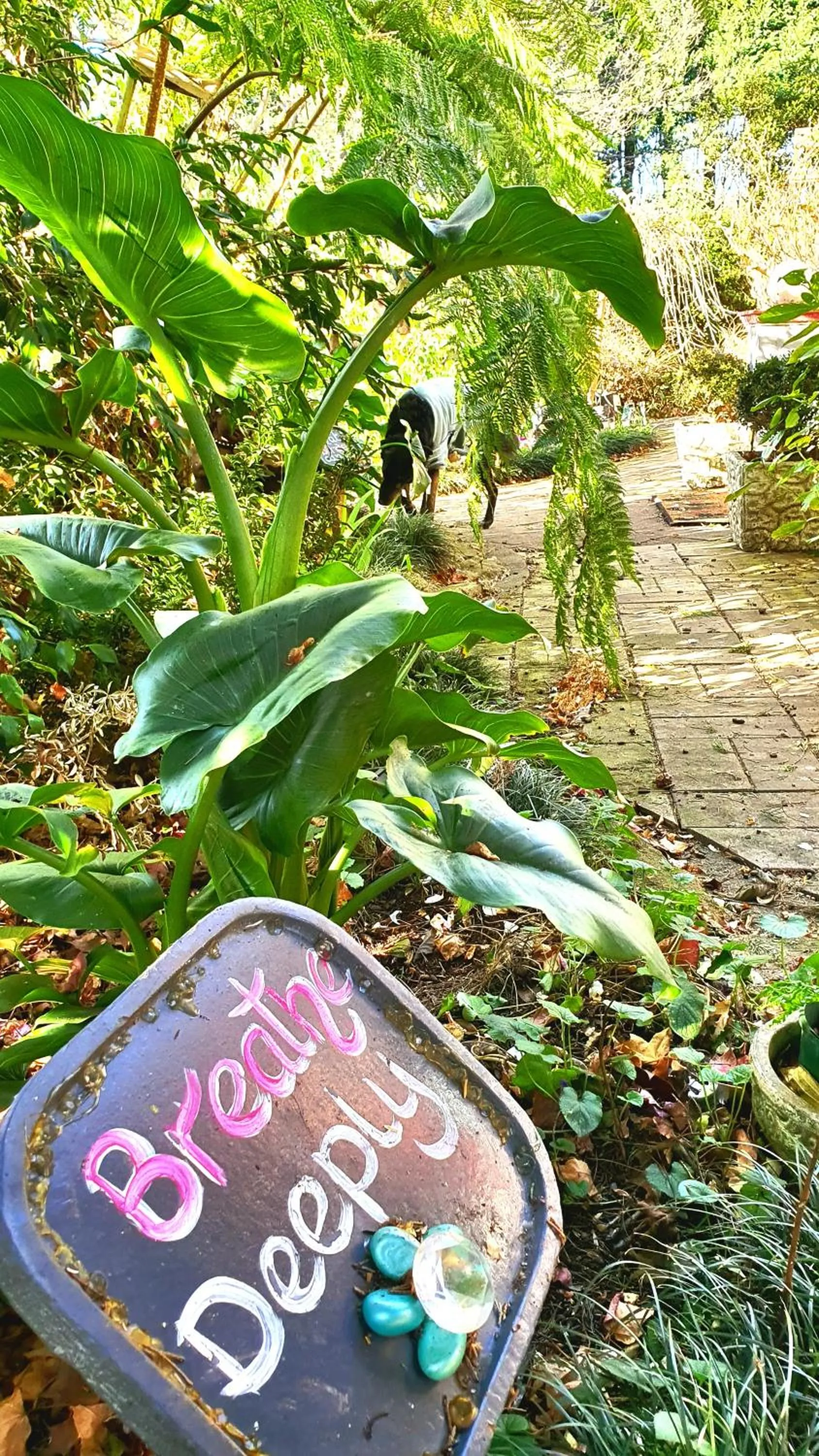 Bowral Road Art Gallery Bed and Breakfast