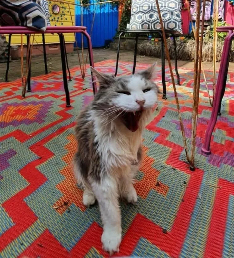 Bowral Road Art Gallery Bed and Breakfast