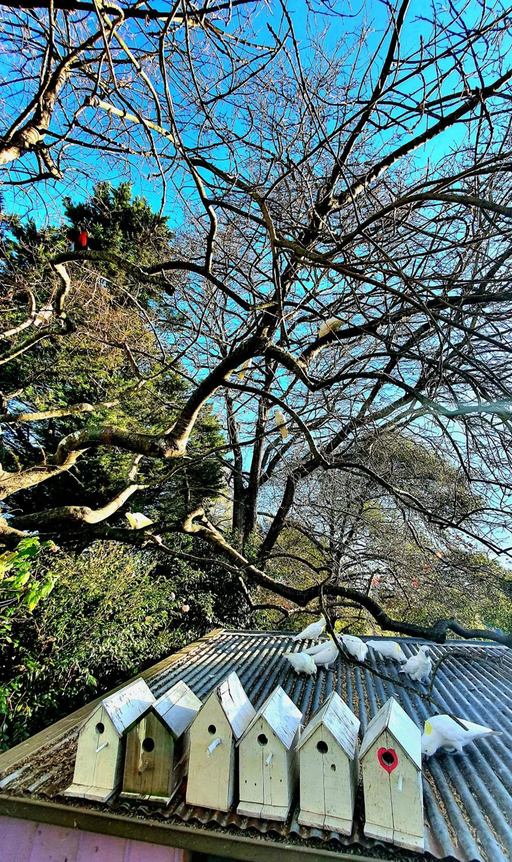 Day in Bowral Road Art Gallery Bed and Breakfast