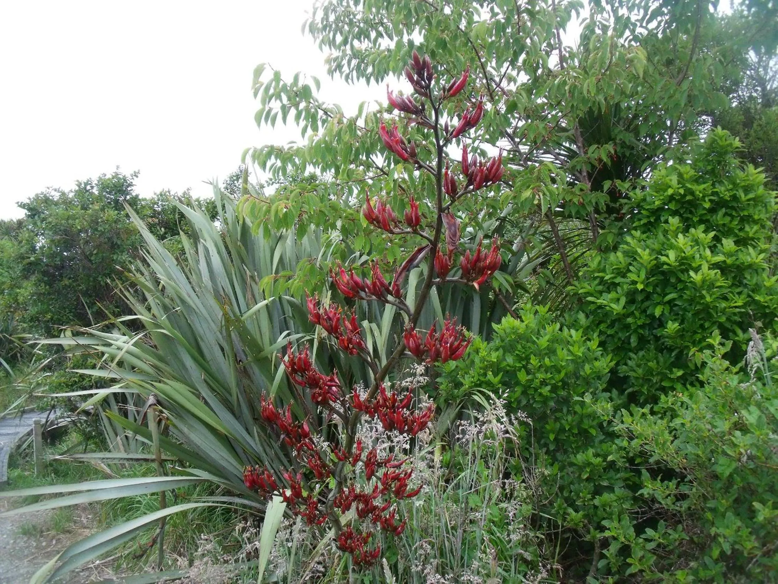 Heritage Highway Motel