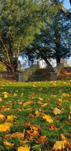 Natural landscape in Chambres d'Hôtes des Rouets