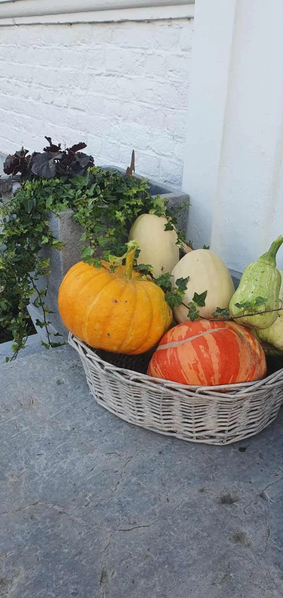 Property building in Chambres d'Hôtes des Rouets