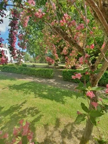 Garden in Chambres d'Hôtes des Rouets