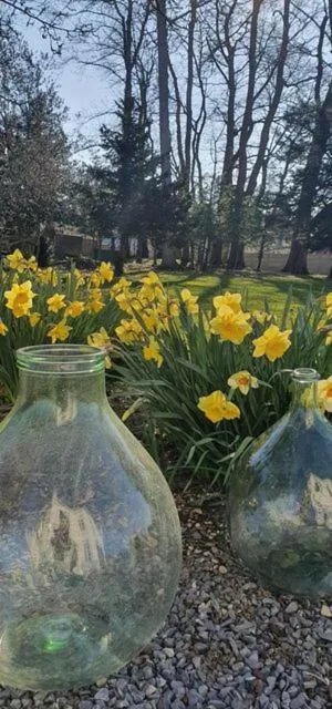Spring in Chambres d'Hôtes des Rouets