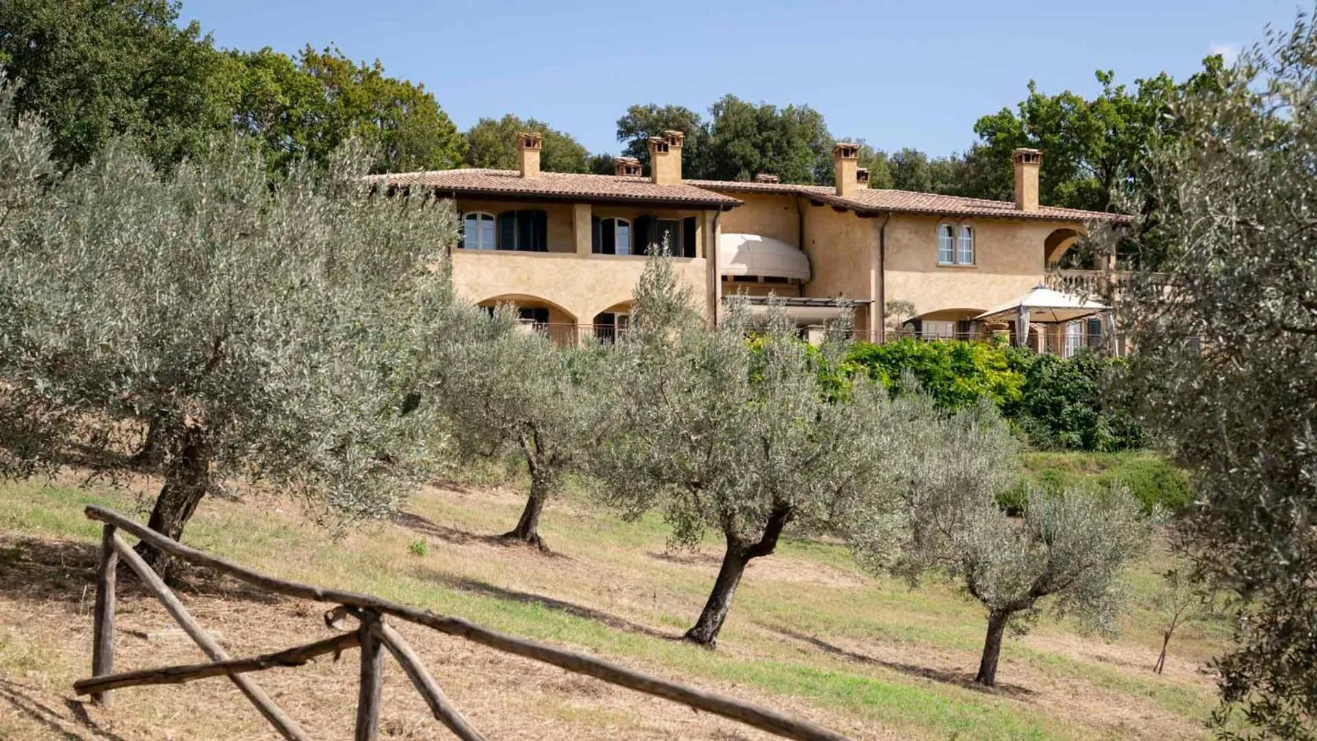 Natural landscape in Tenuta il Sassone - Wine&Food