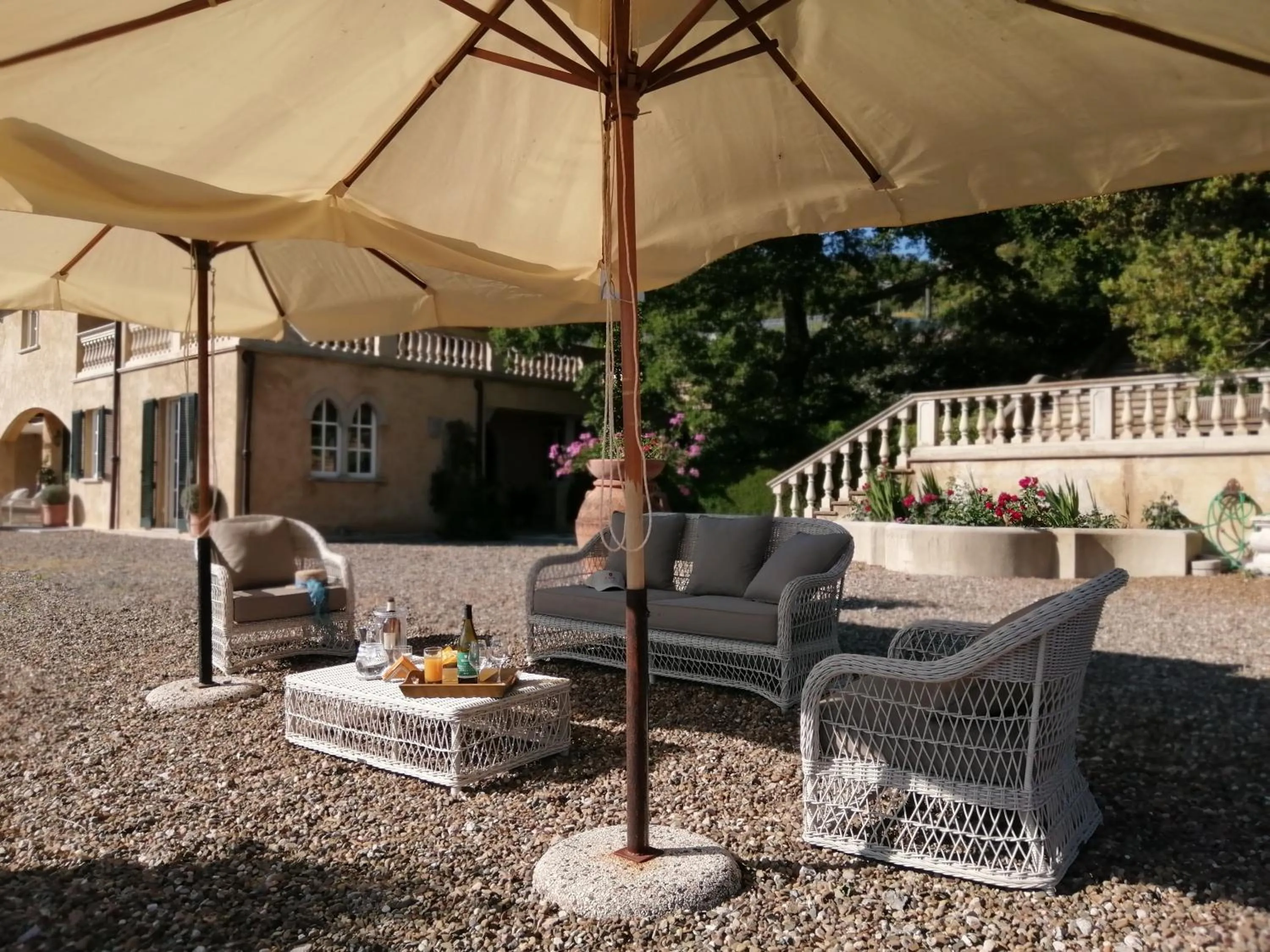 Area and facilities in Tenuta il Sassone - Wine&Food