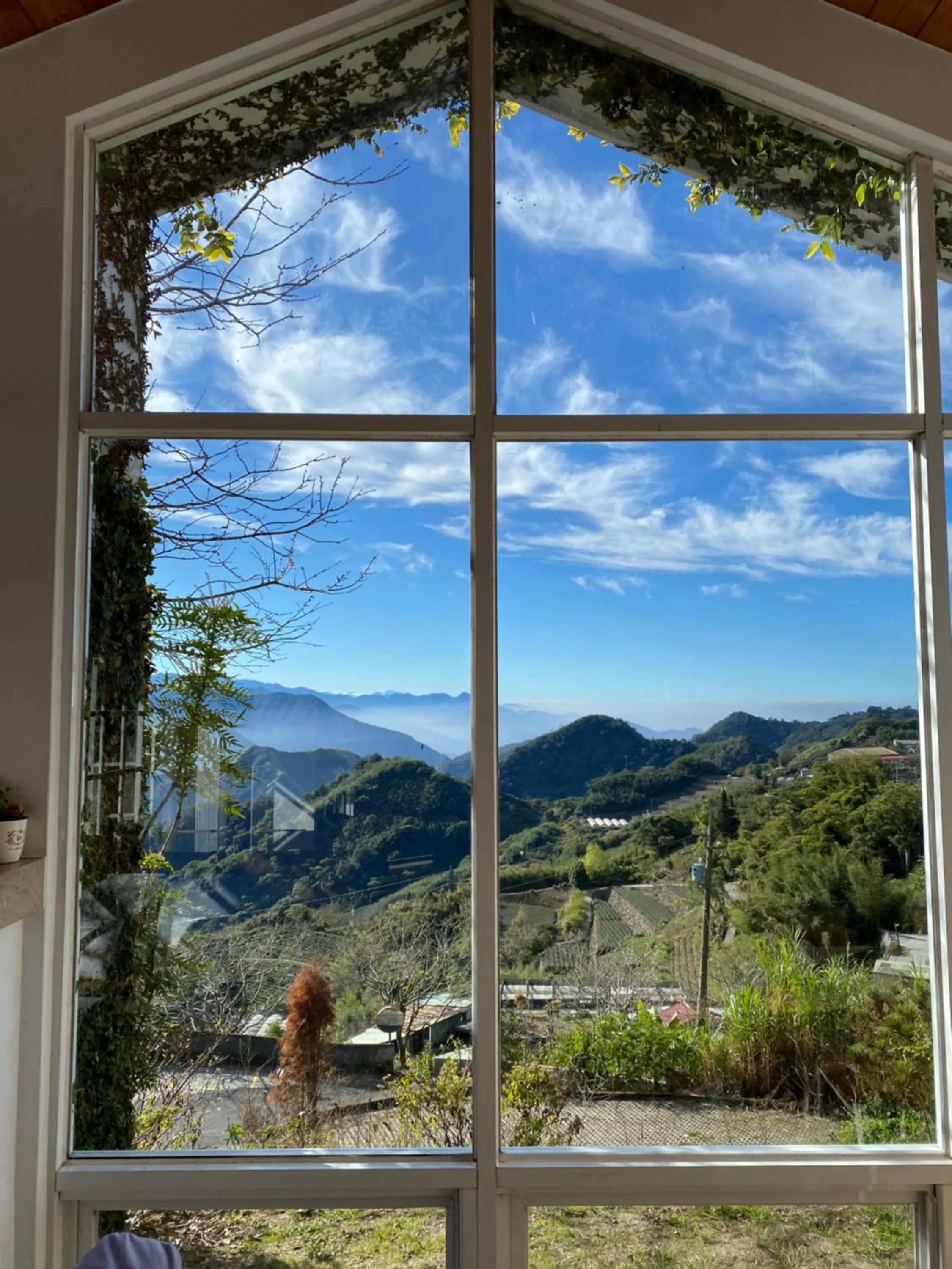 Alishan Tea Garden B&B