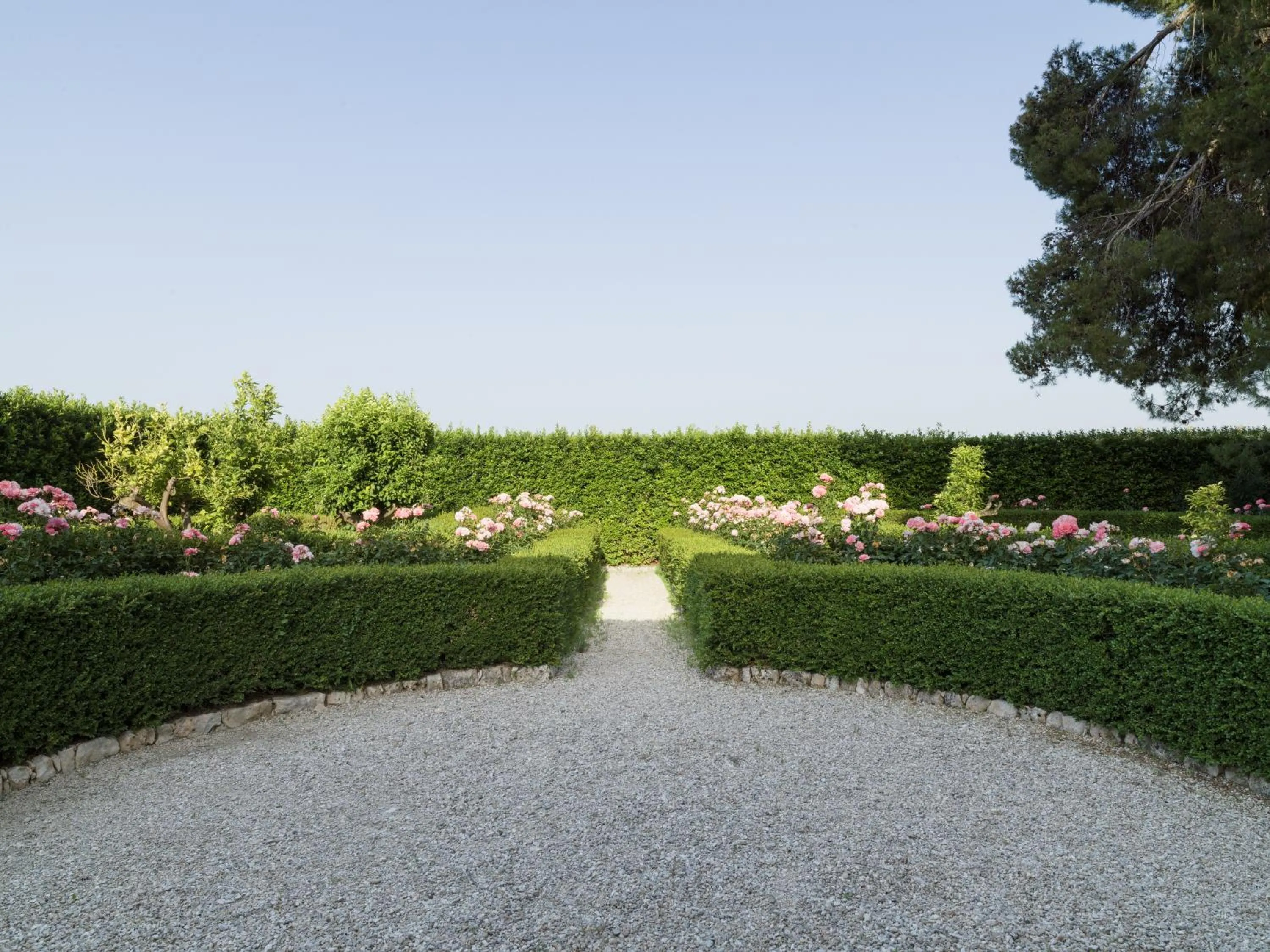 Garden in Villa Corallo