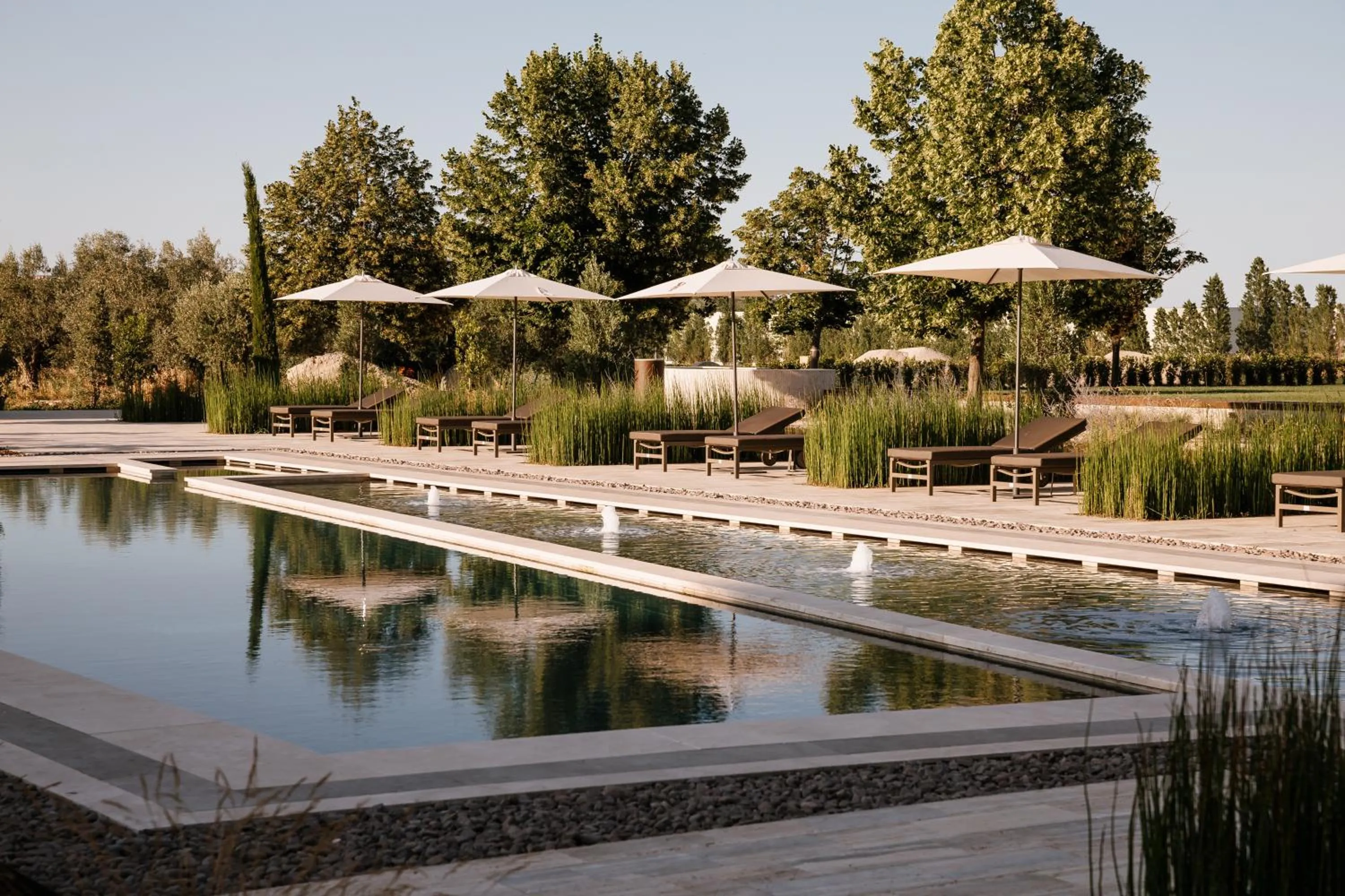 Swimming pool in Villa Corallo