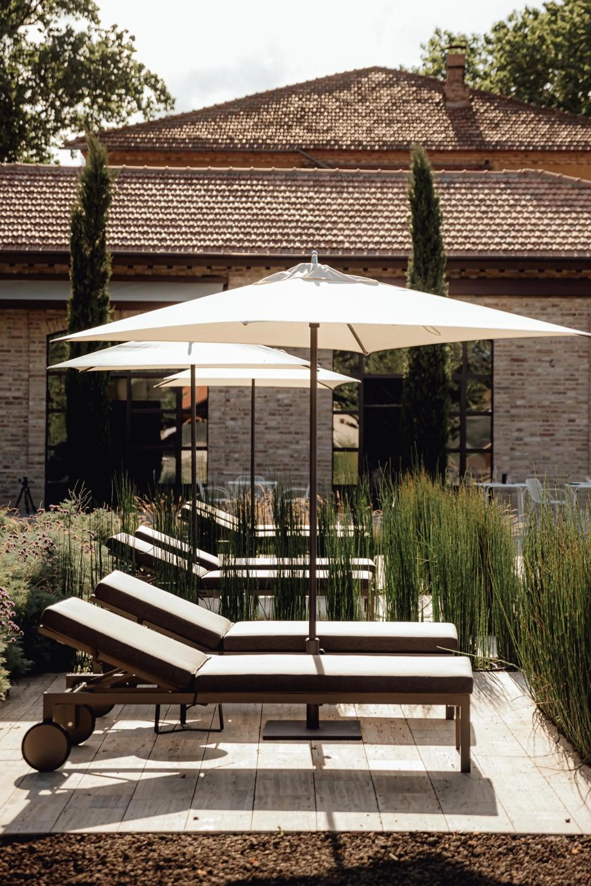 Swimming pool in Villa Corallo