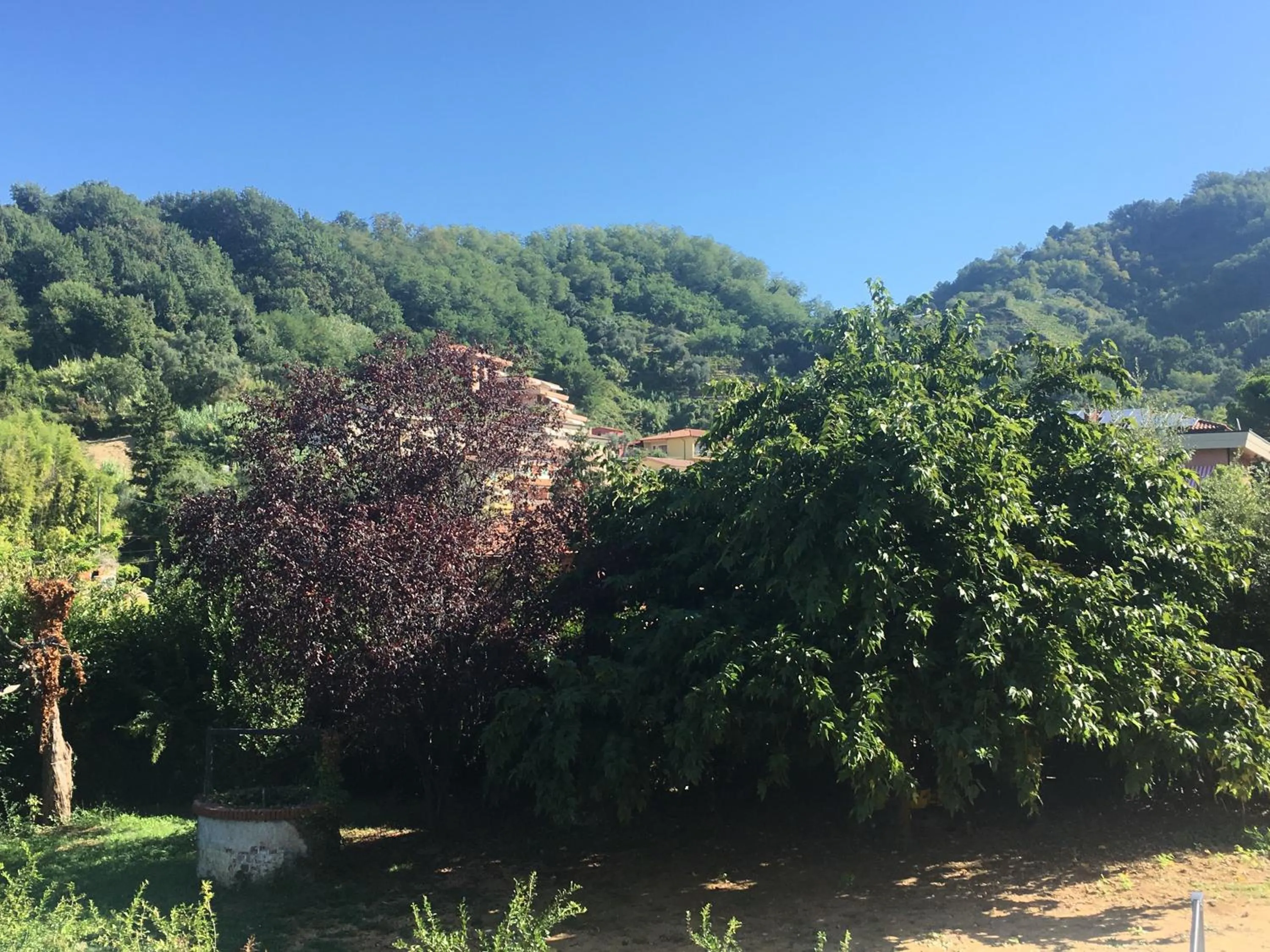 Garden view in Mikeme