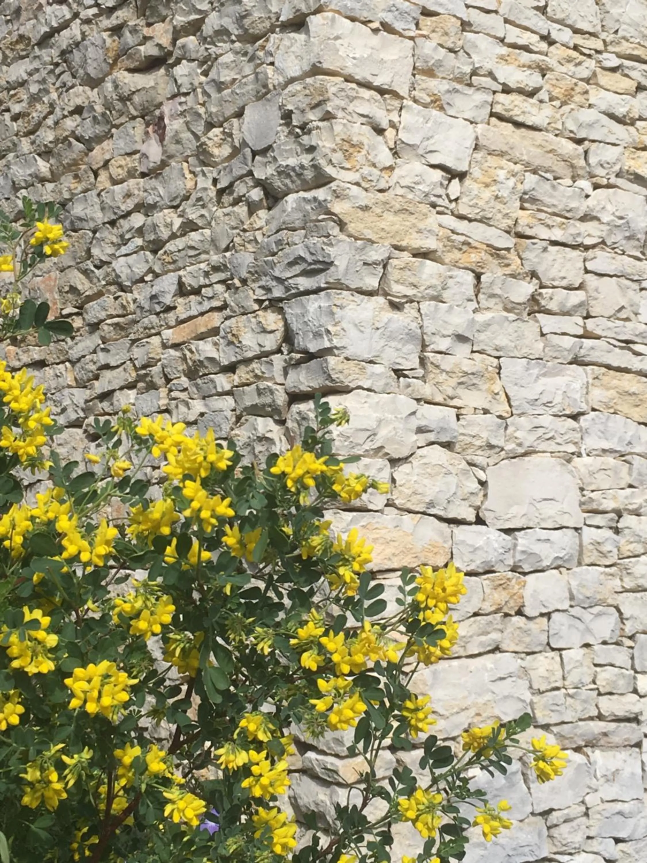 Garden in La Chambre Haute et son jardin dans les hauteurs de Nîmes