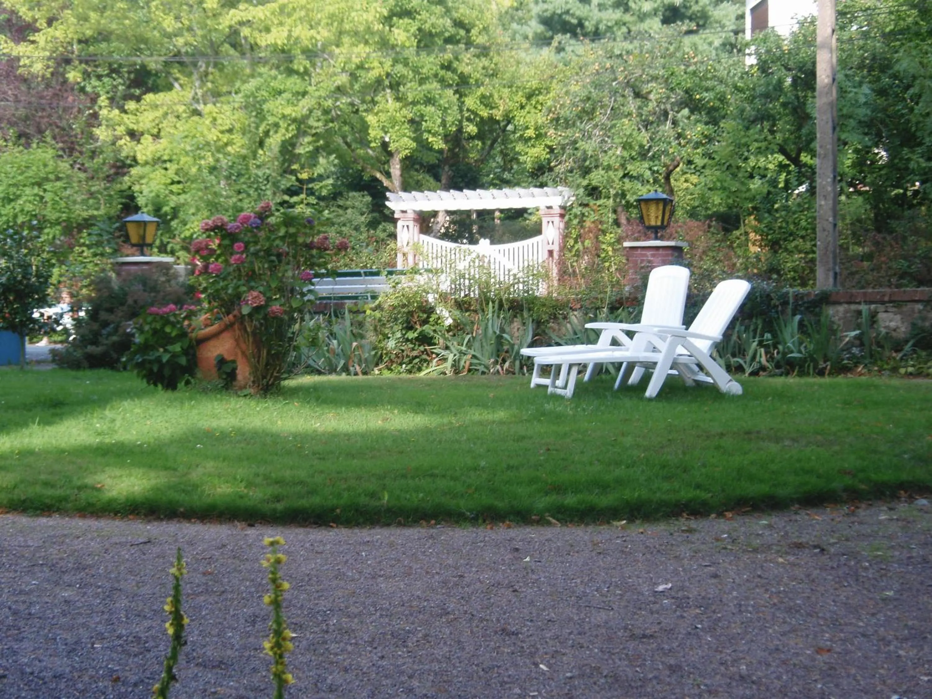 Garden in Les Camelias