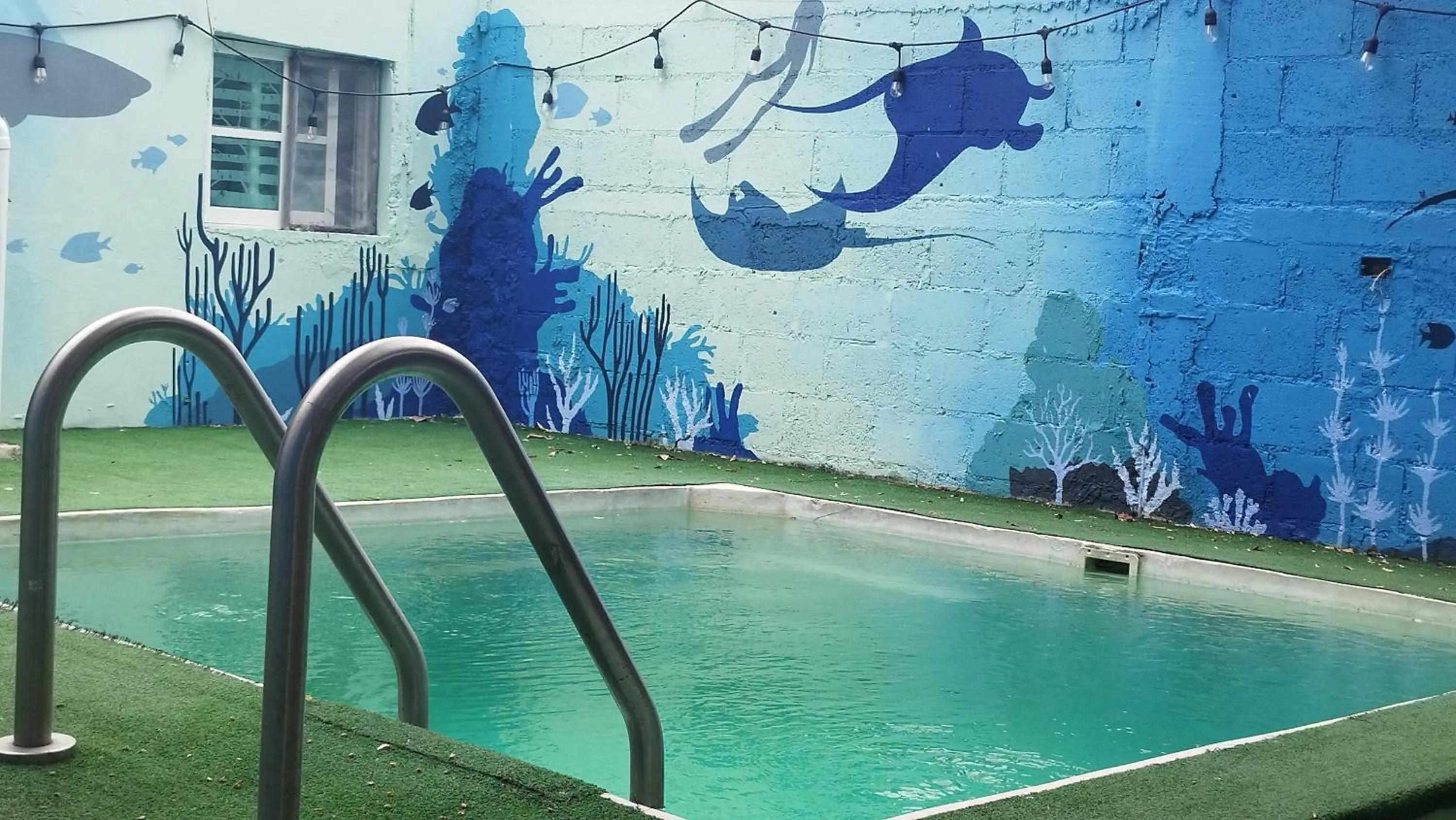 Swimming pool in Blue Magic Hostel