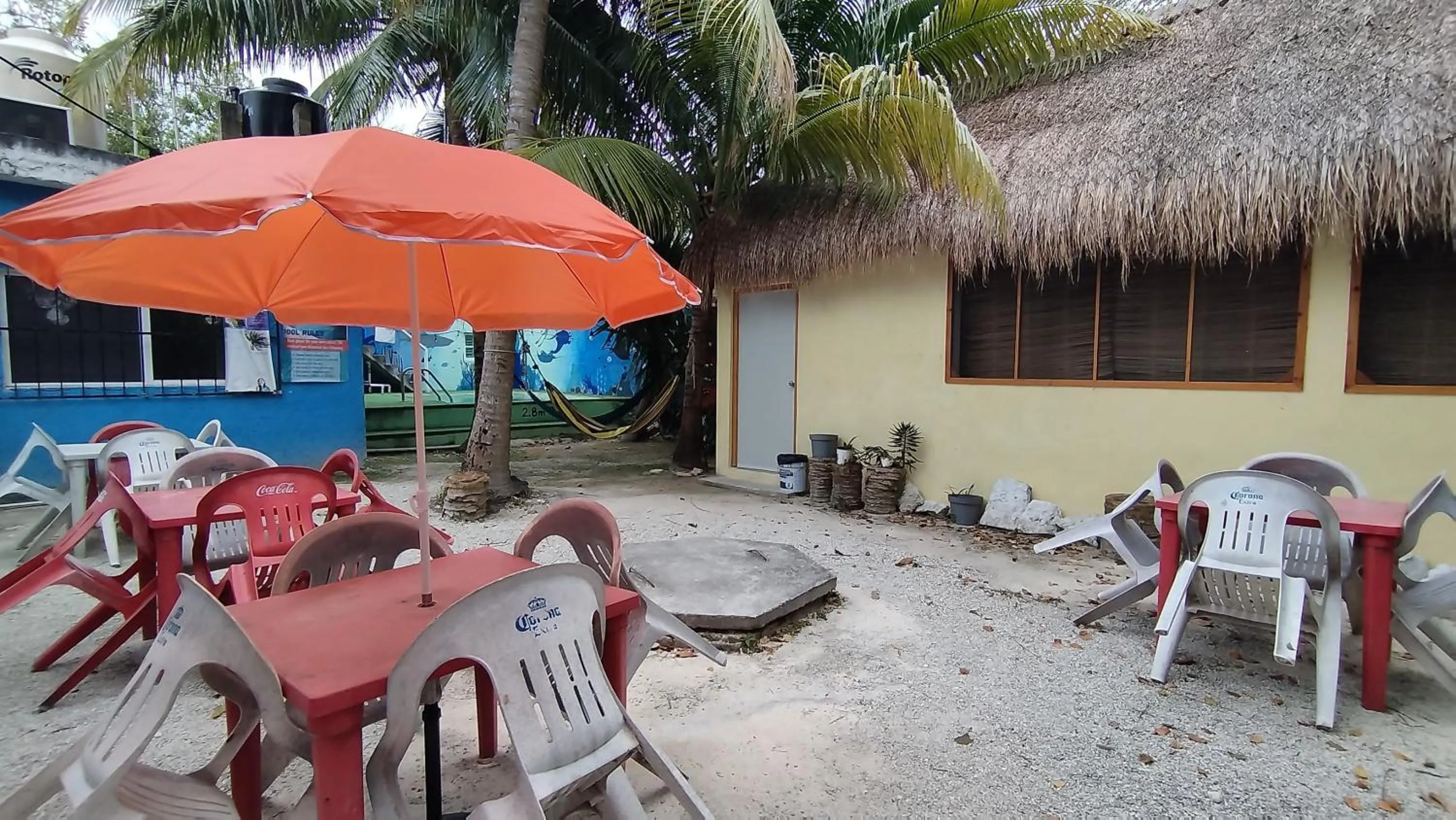 Garden in Blue Magic Hostel