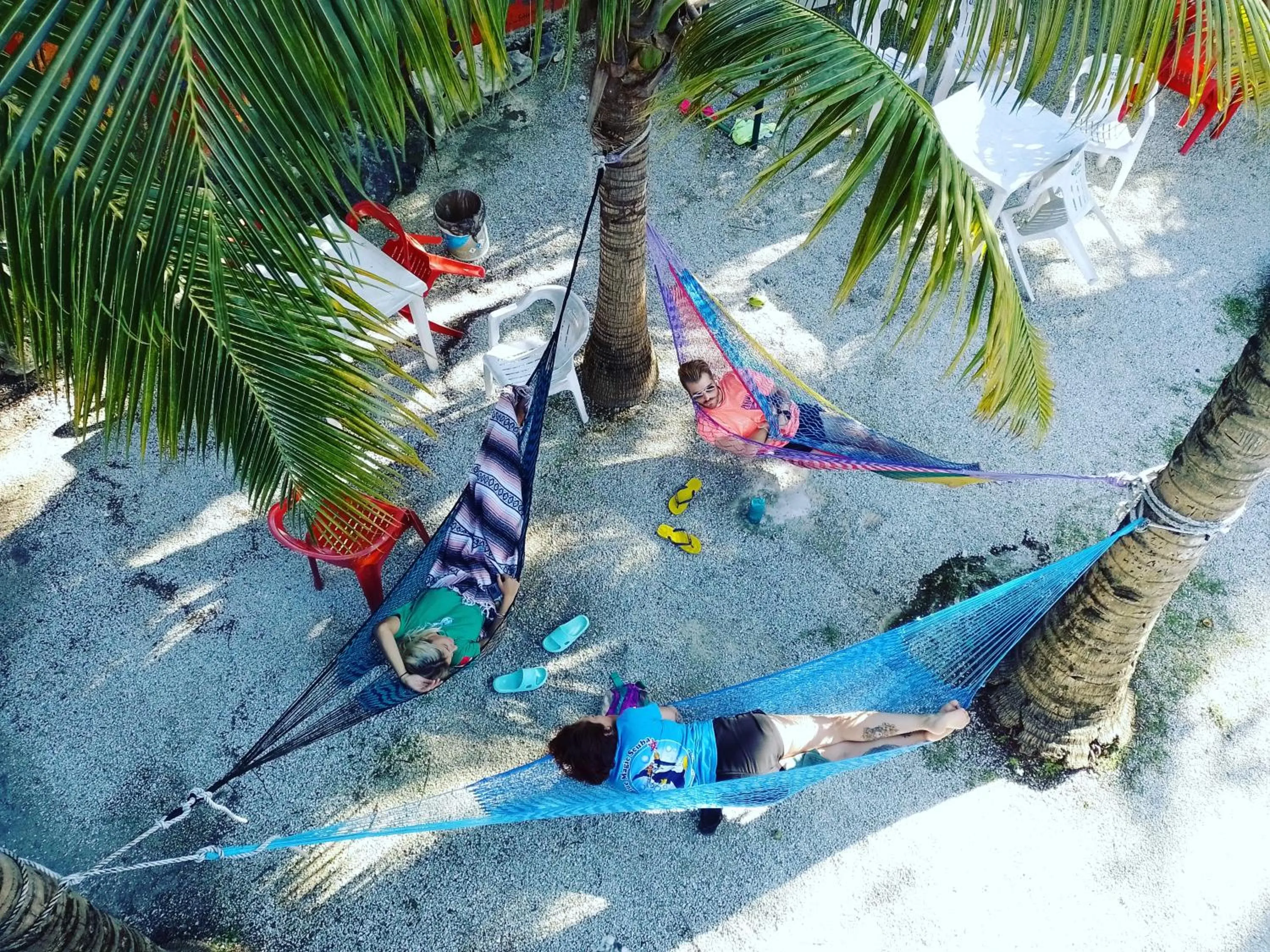 Garden in Blue Magic Hostel