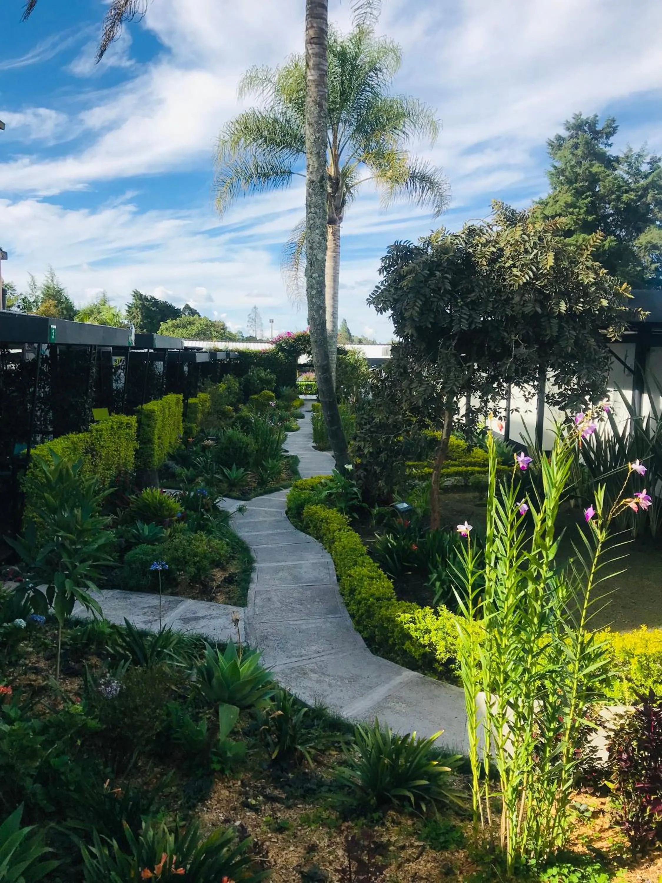 Natural landscape in Hotel & Golf Isak Aeropuerto