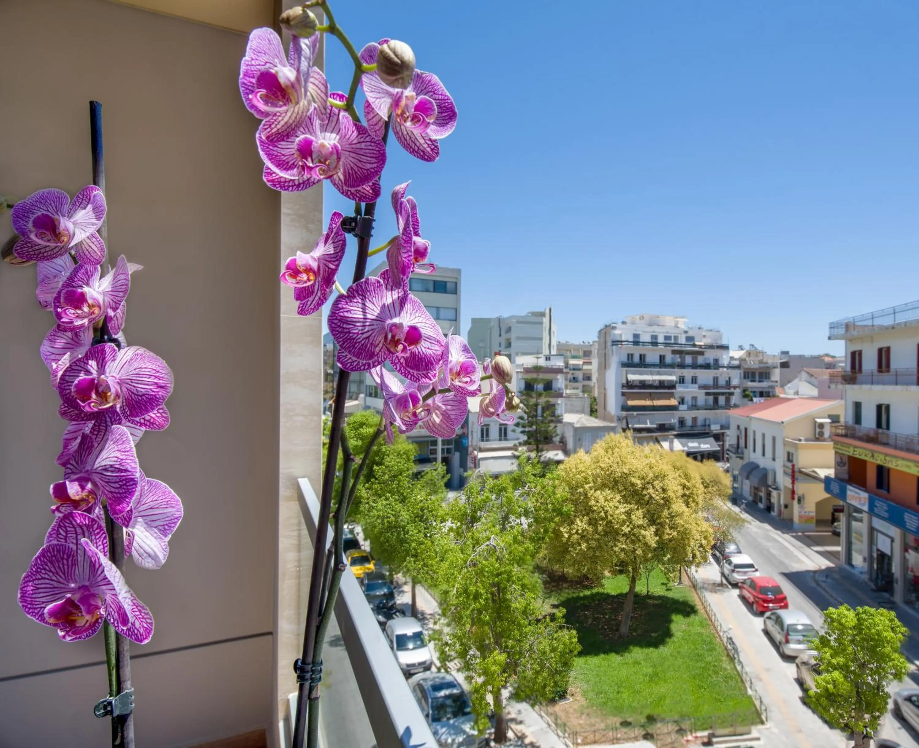 Balcony/Terrace in M City Hotel