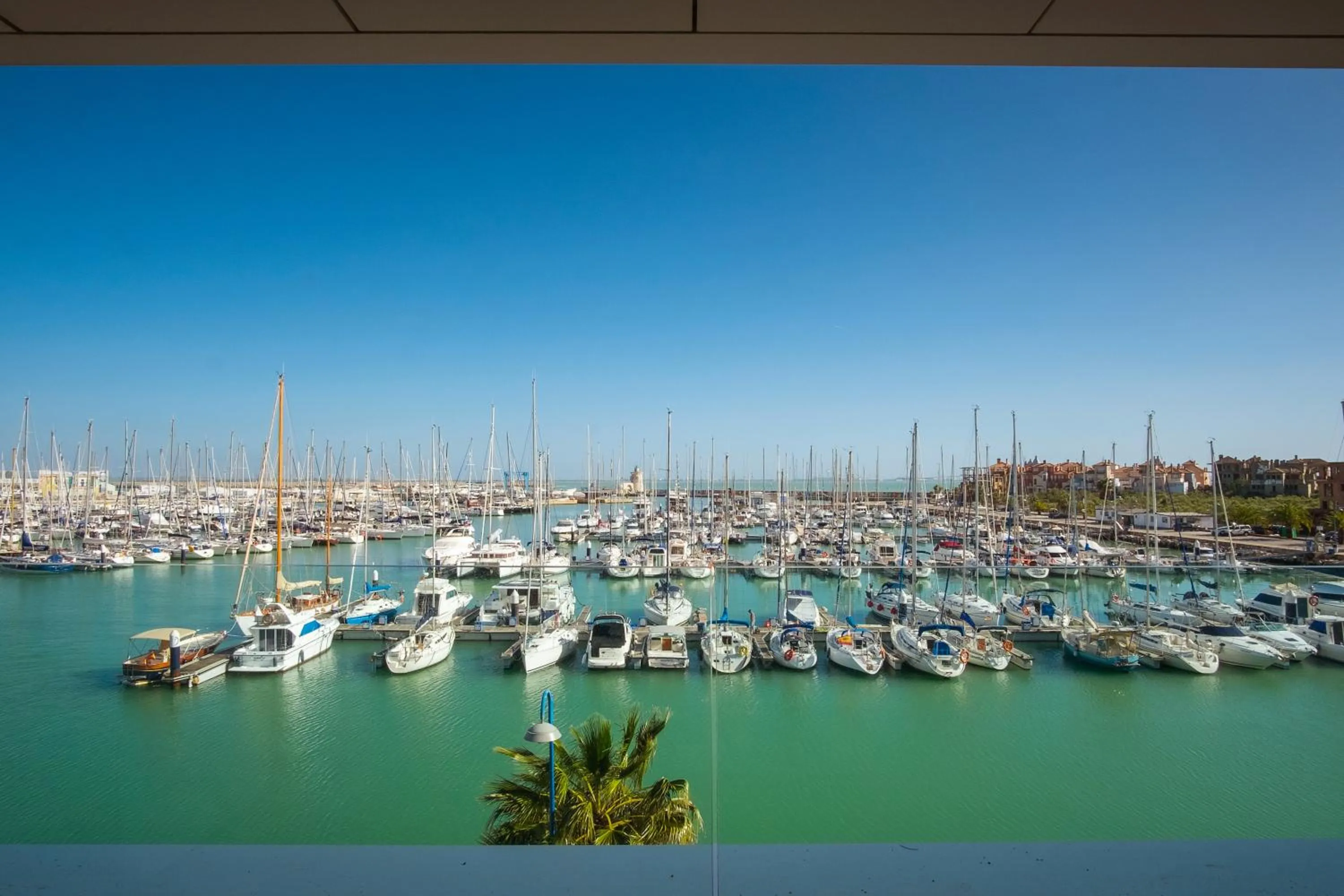 Fishing in Suites Puerto Sherry